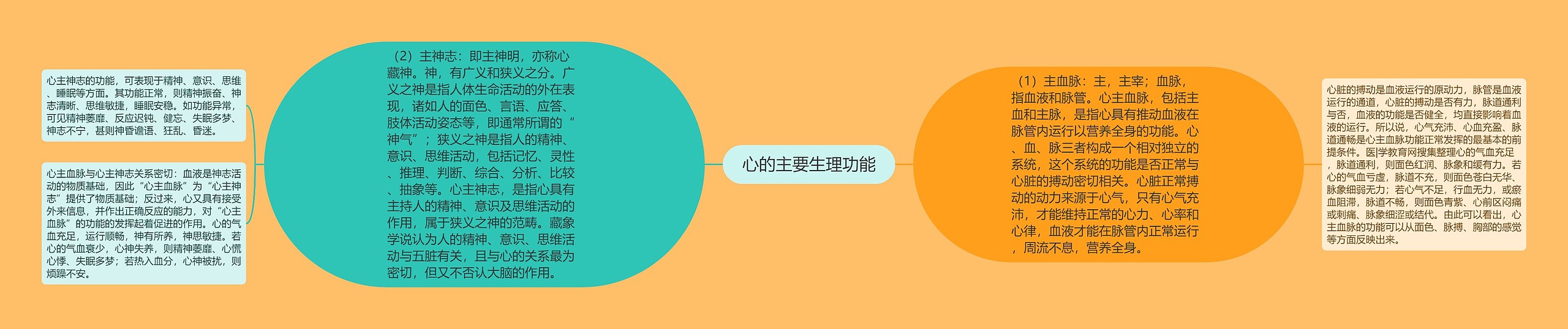 心的主要生理功能