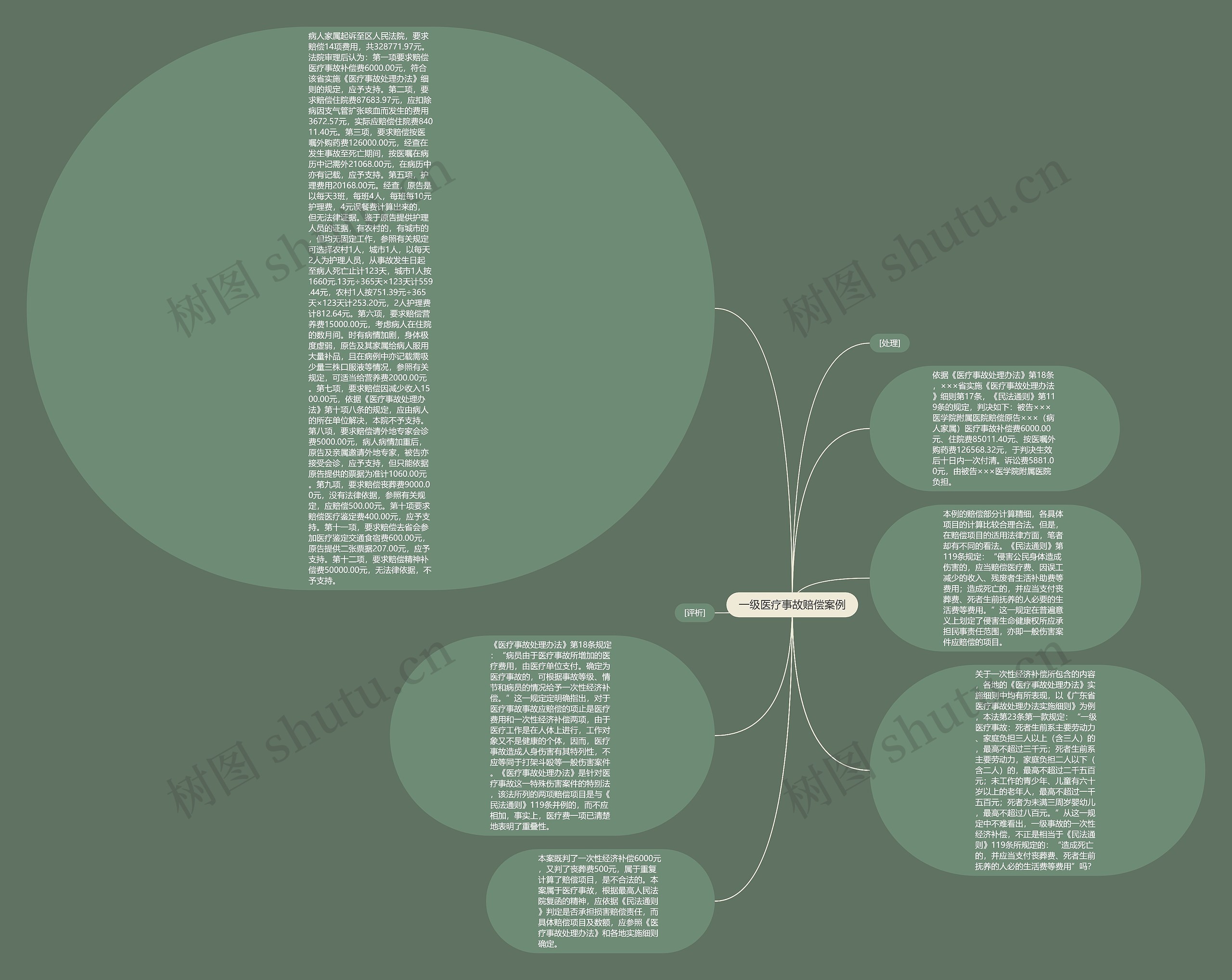一级医疗事故赔偿案例思维导图