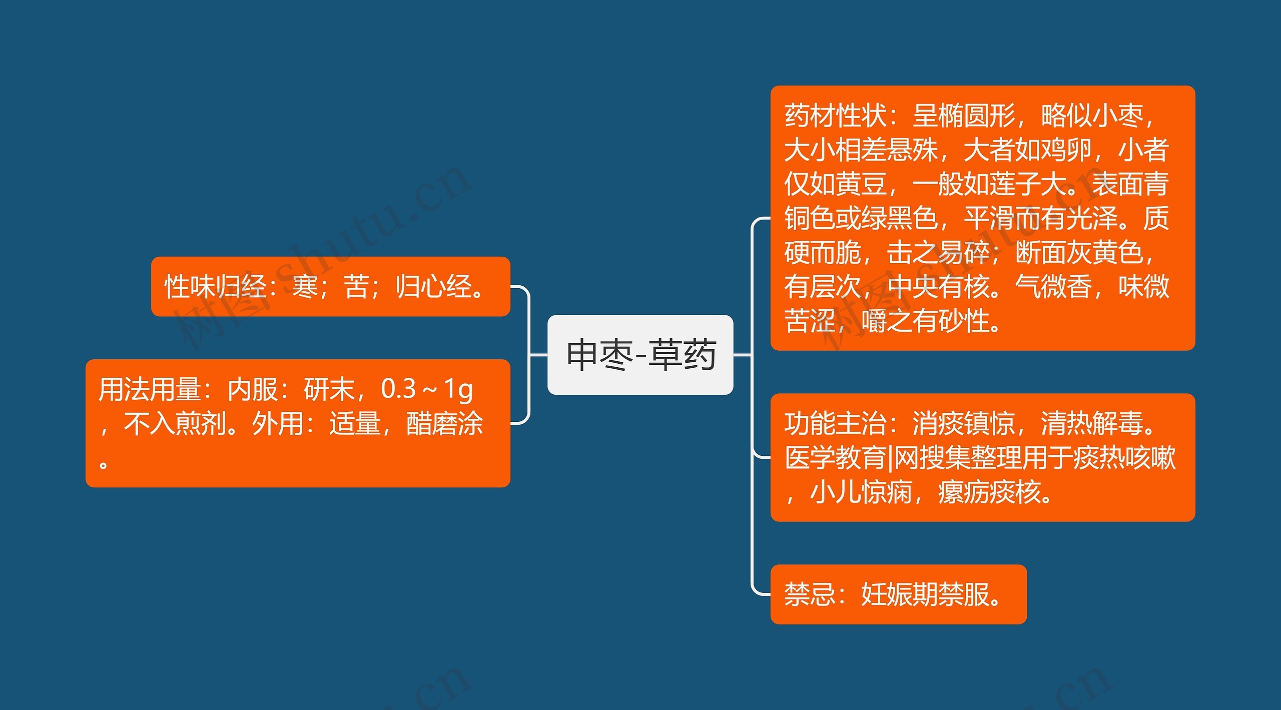 申枣-草药 申枣-草药