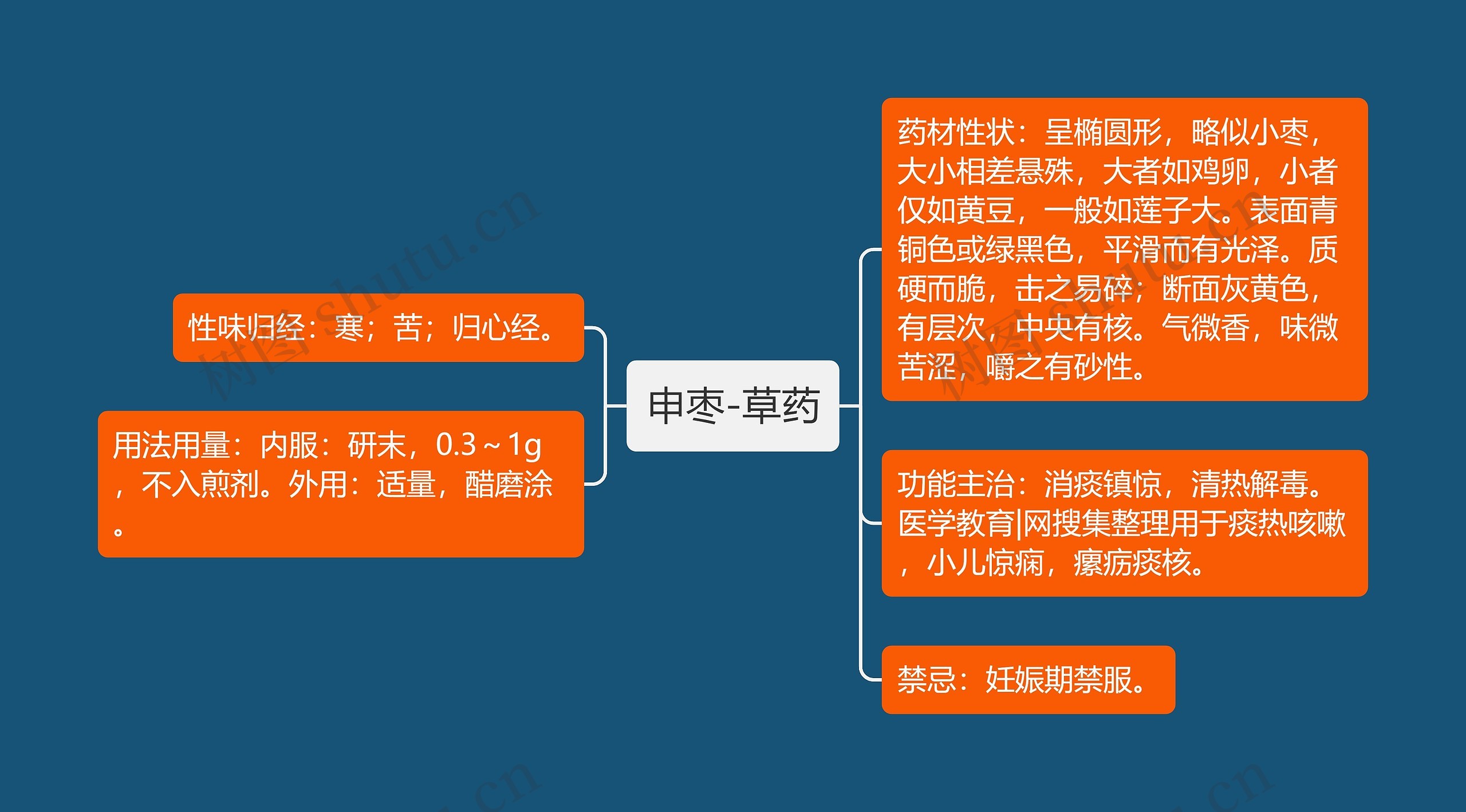 申枣-草药思维导图