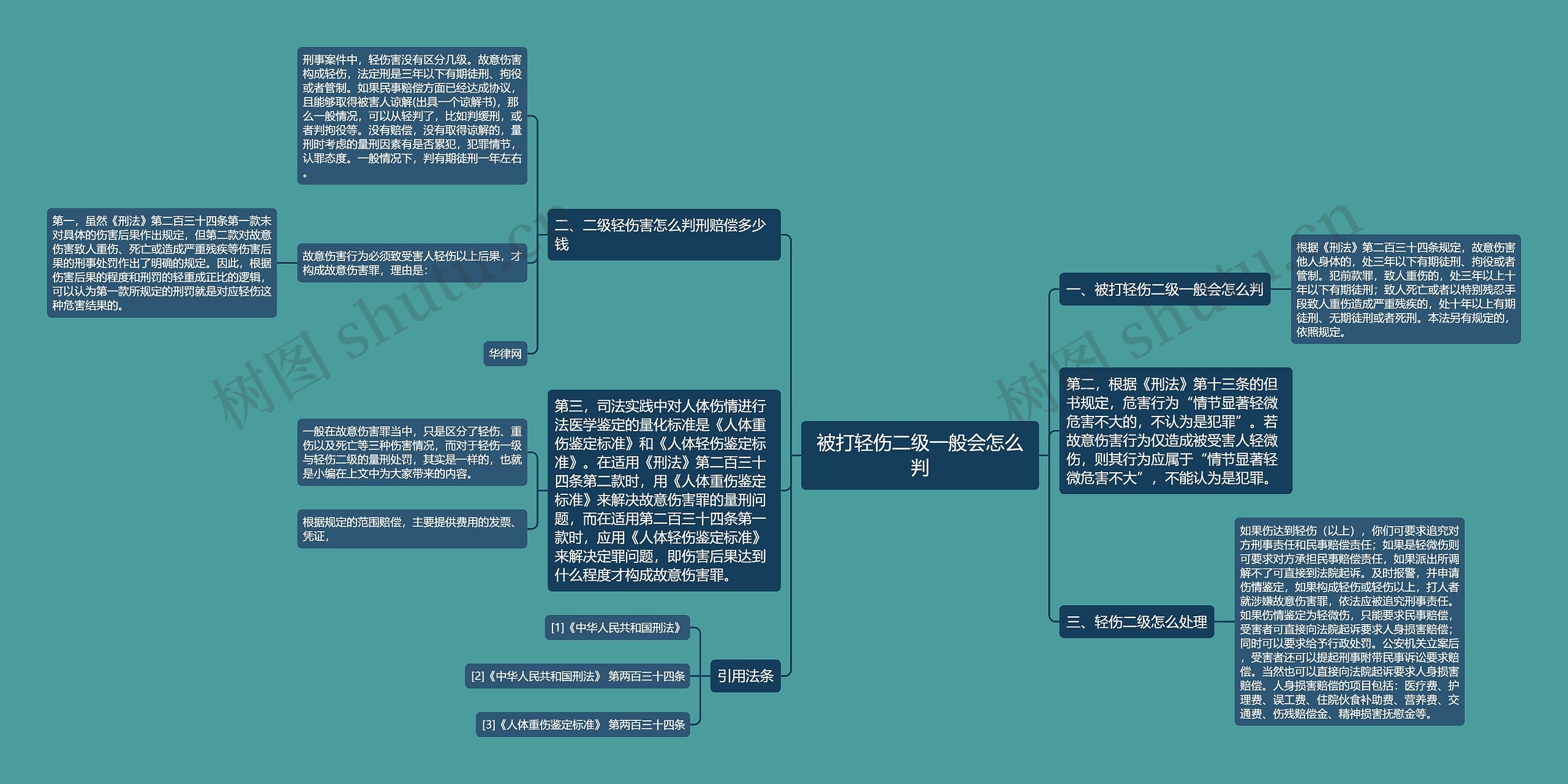 被打轻伤二级一般会怎么判思维导图