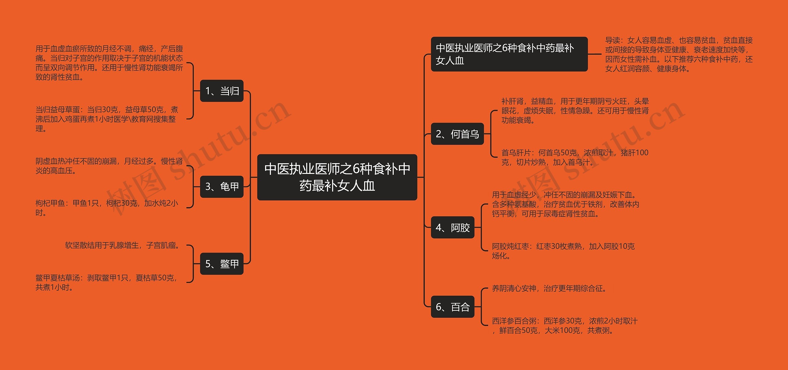 中医执业医师之6种食补中药最补女人血思维导图