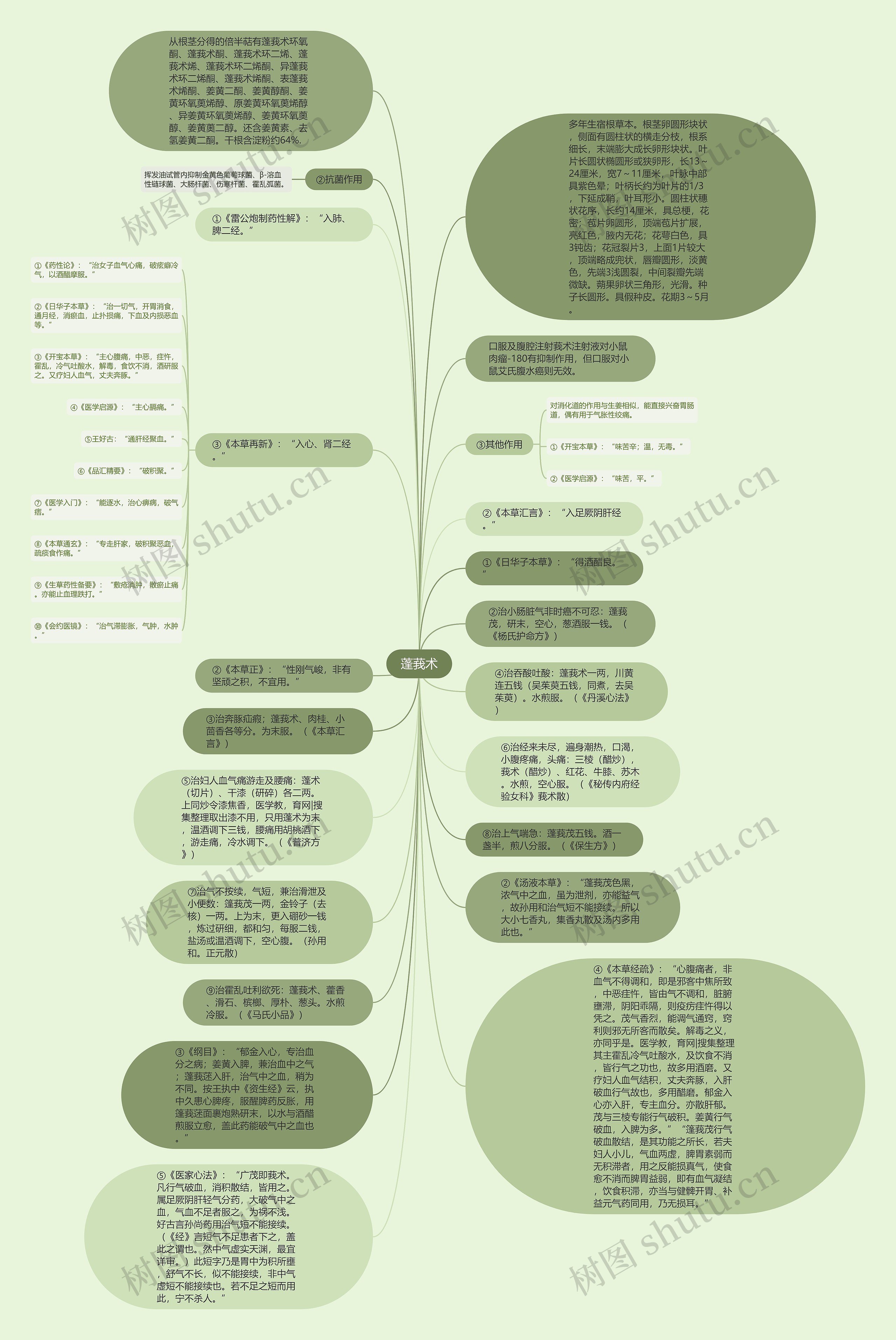 蓬莪术思维导图