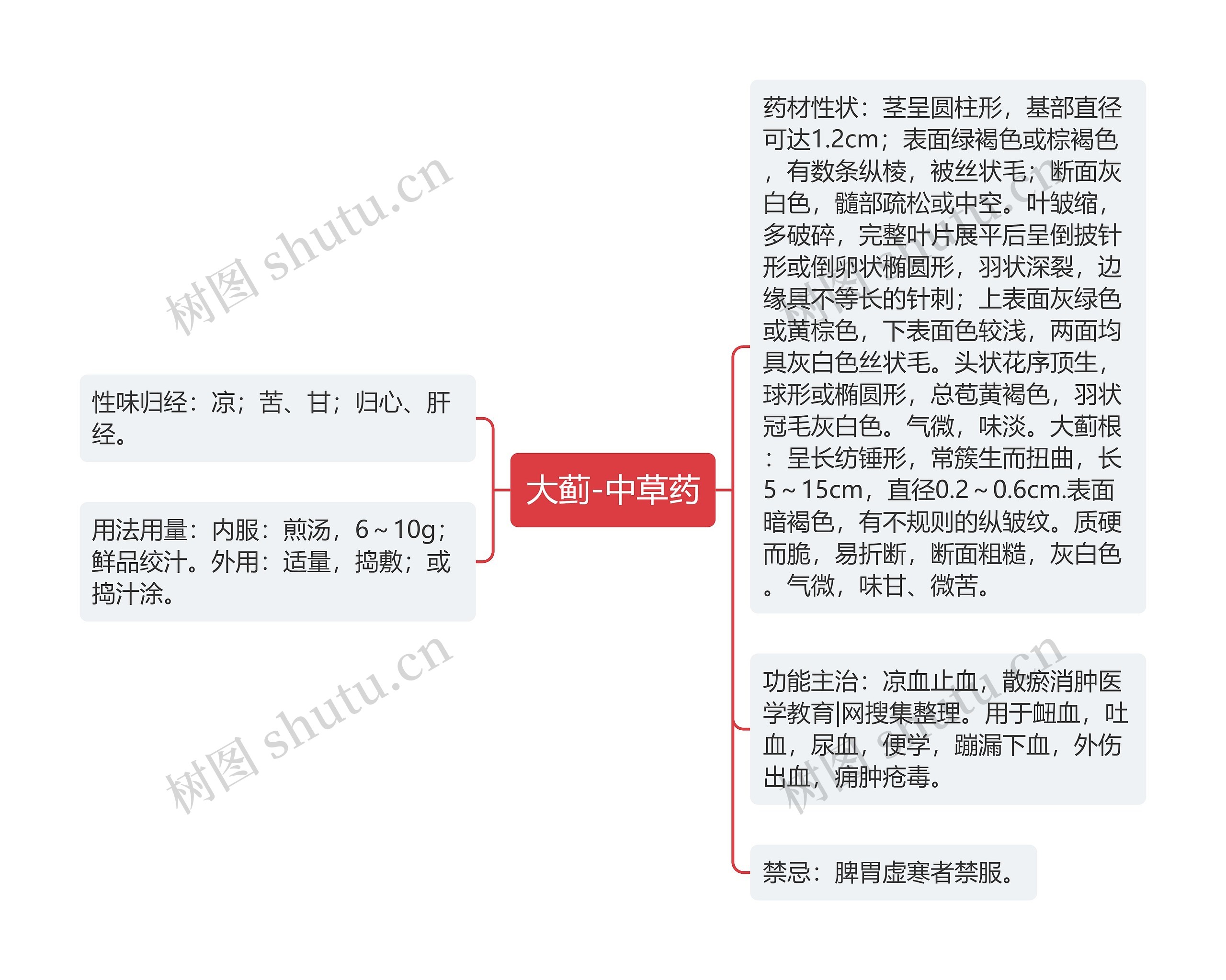 大蓟-中草药 大蓟-中草药