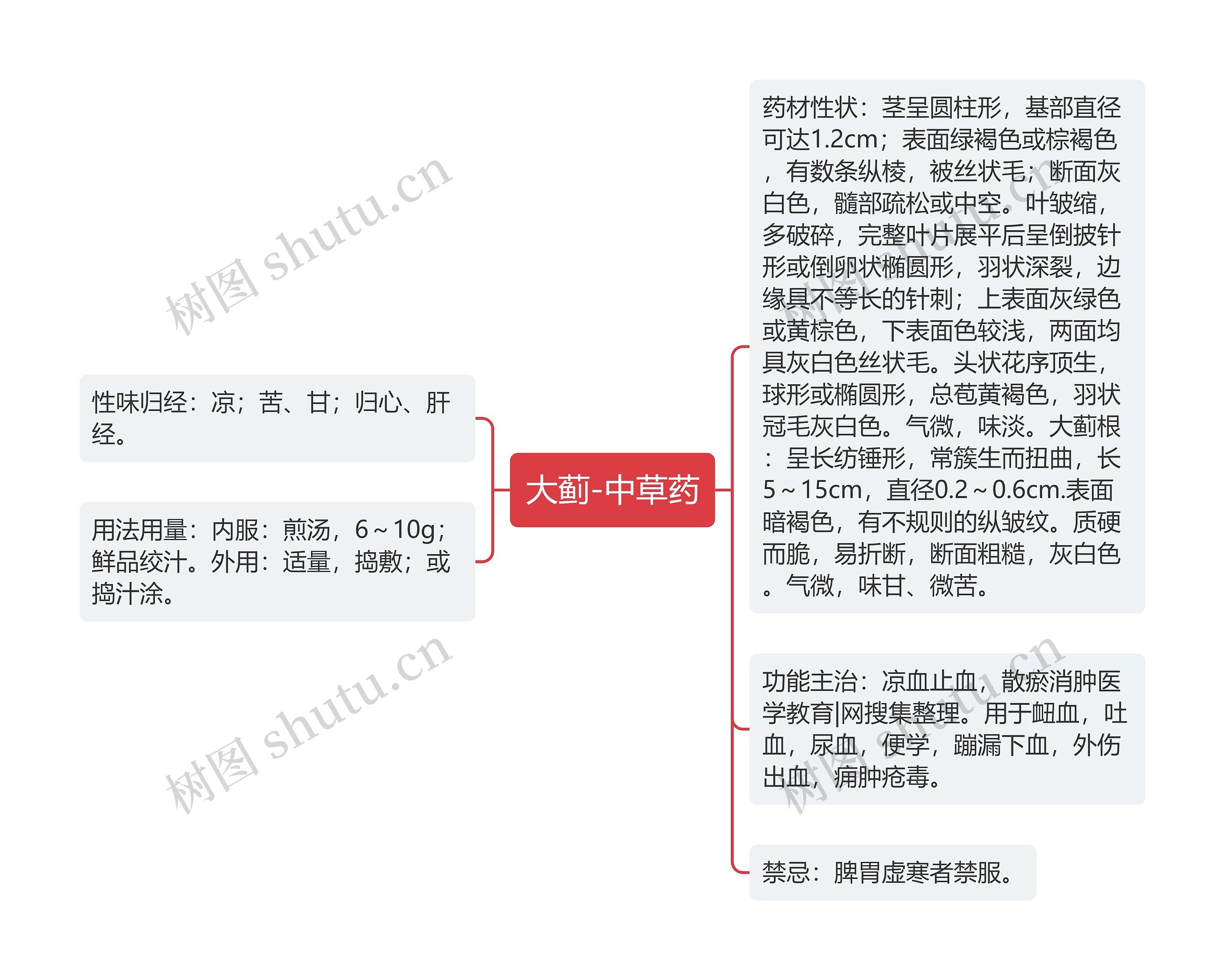 大蓟-中草药思维导图