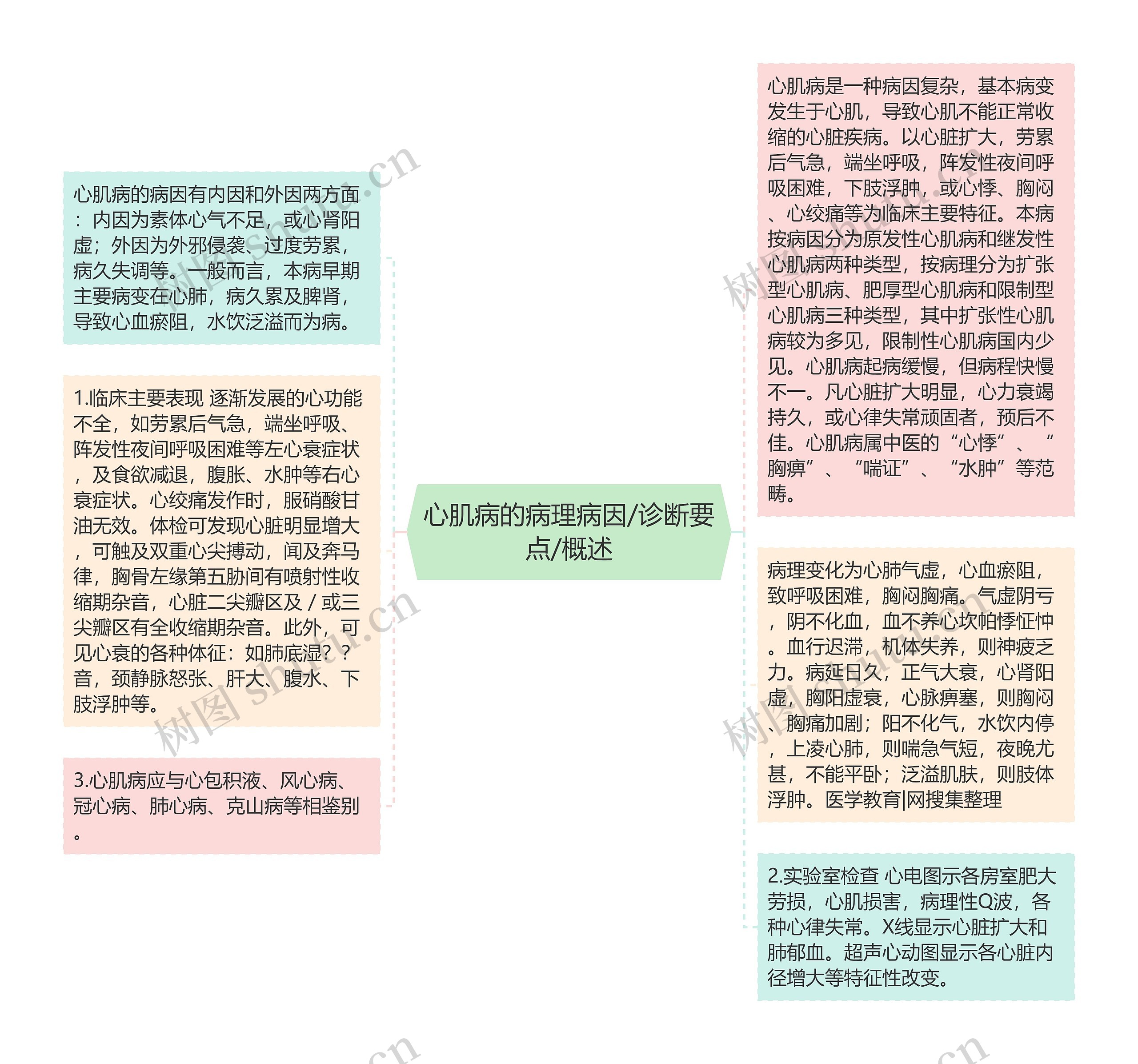 心肌病的病理病因/诊断要点/概述思维导图