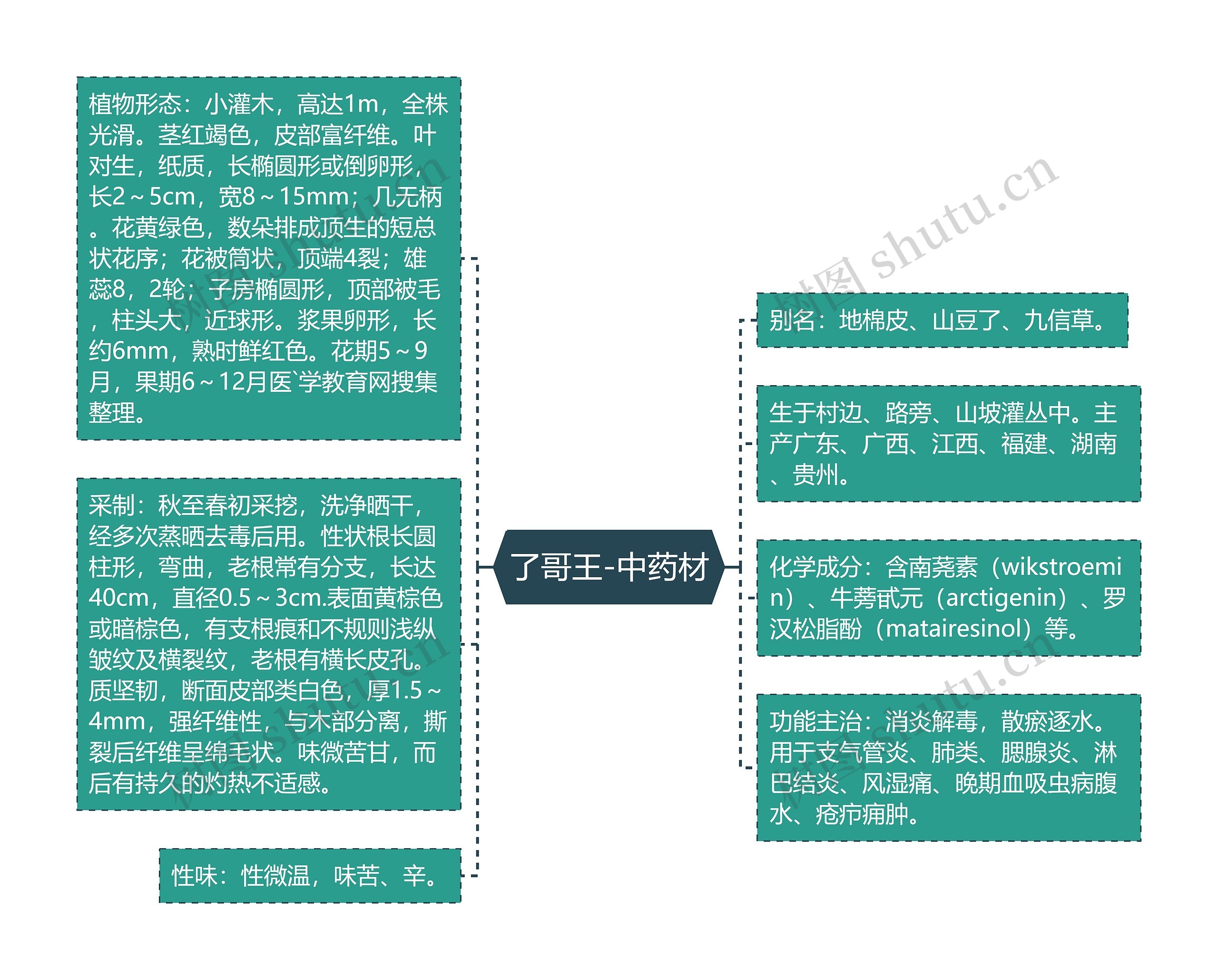 了哥王-中药材思维导图