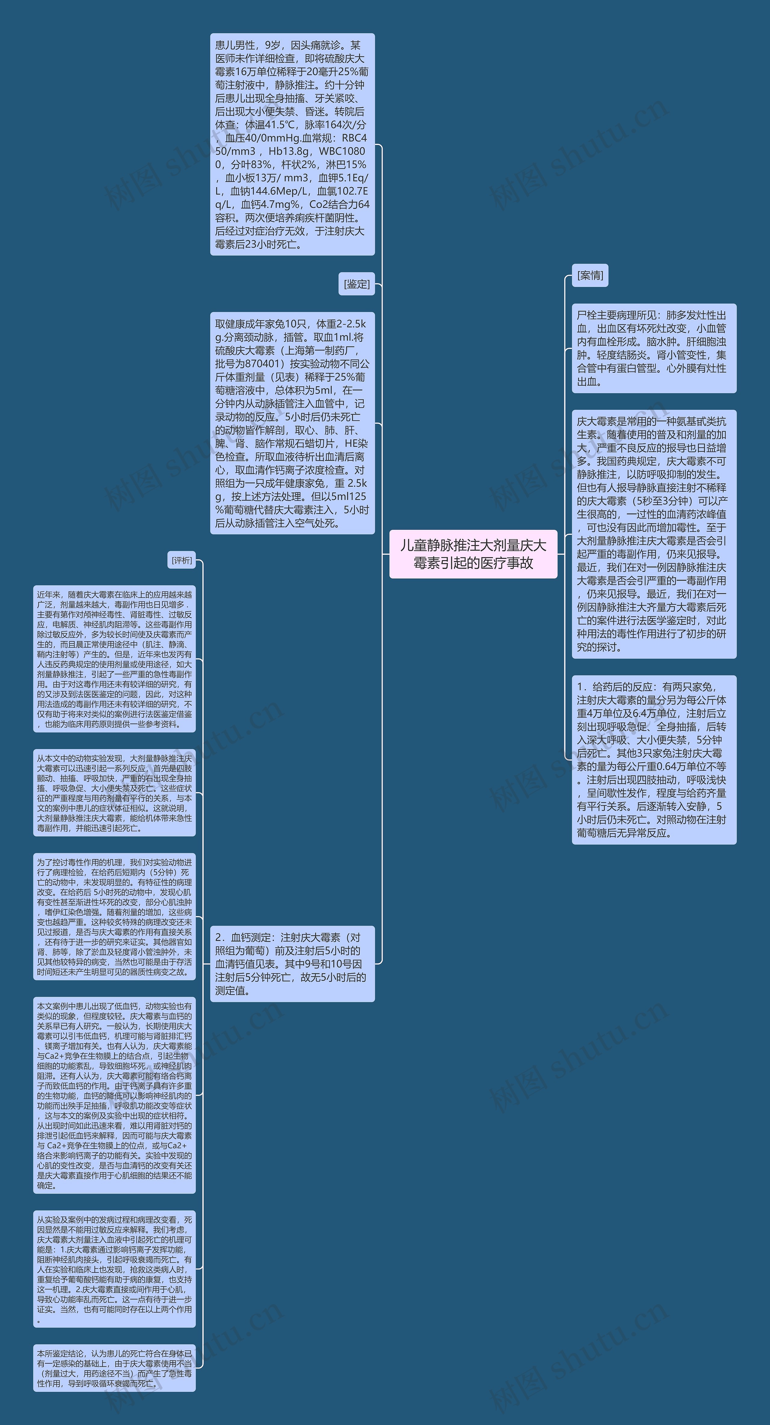 儿童静脉推注大剂量庆大霉素引起的医疗事故思维导图