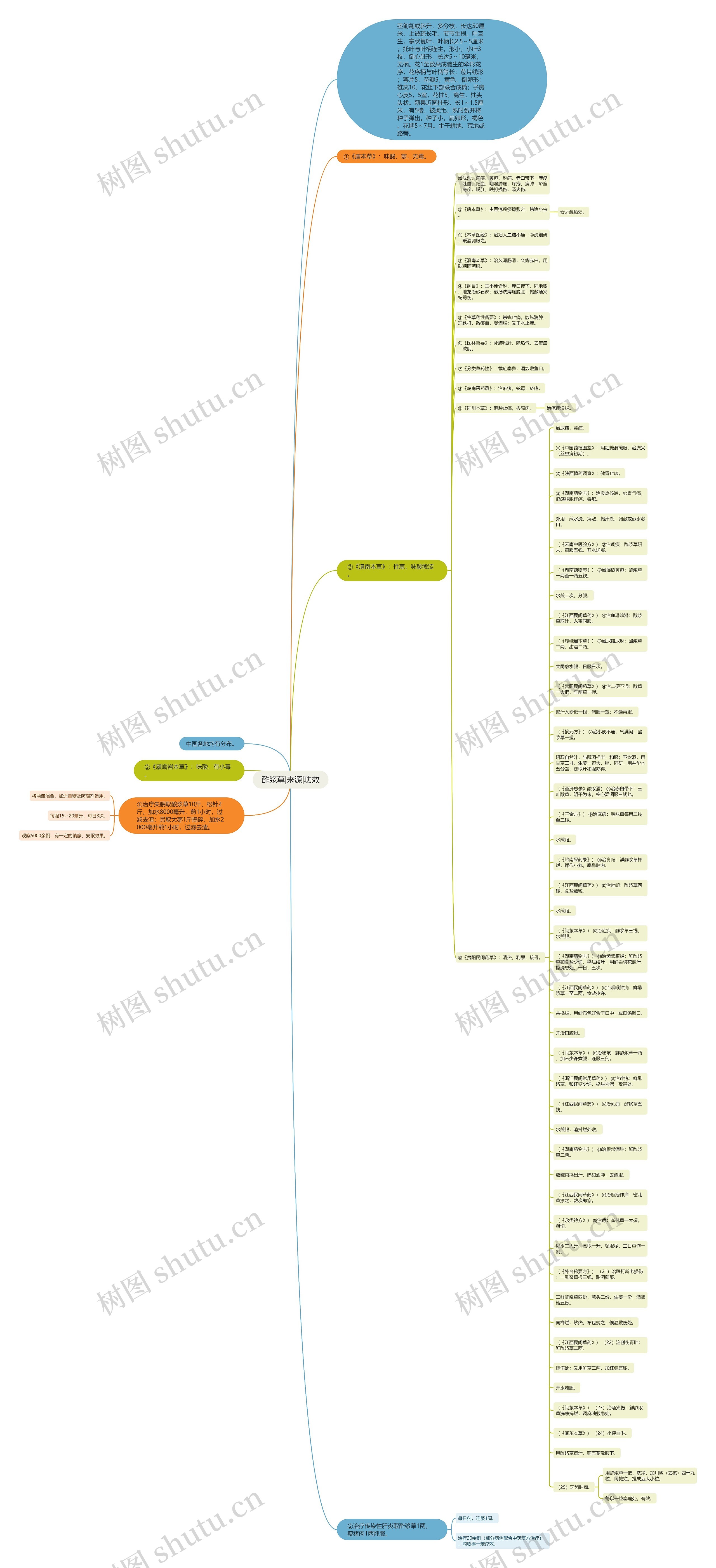 酢浆草|来源|功效思维导图