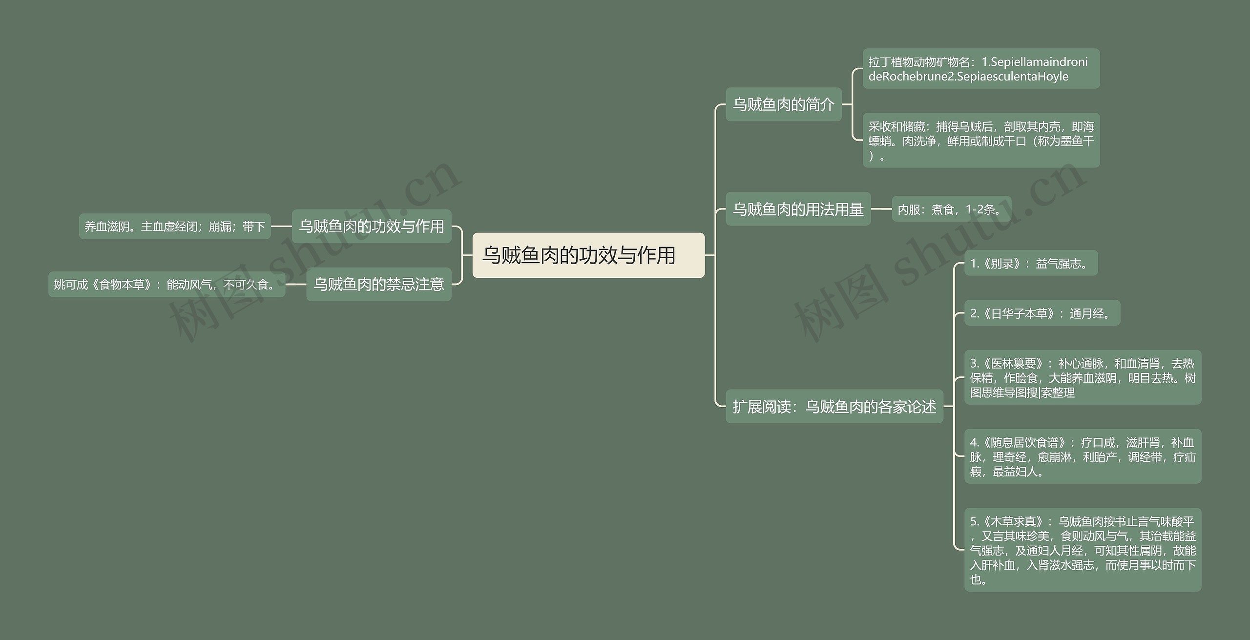 乌贼鱼肉的功效与作用  乌贼鱼肉的功效与作用