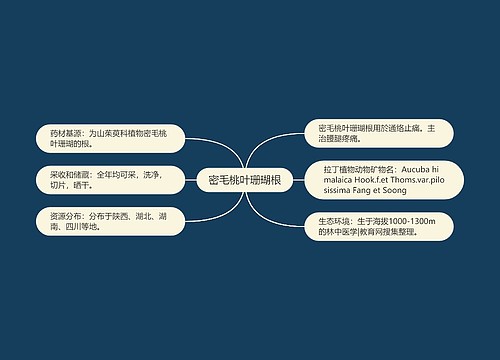 密毛桃叶珊瑚根