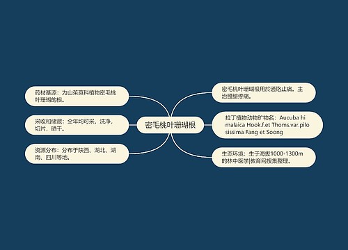 密毛桃叶珊瑚根