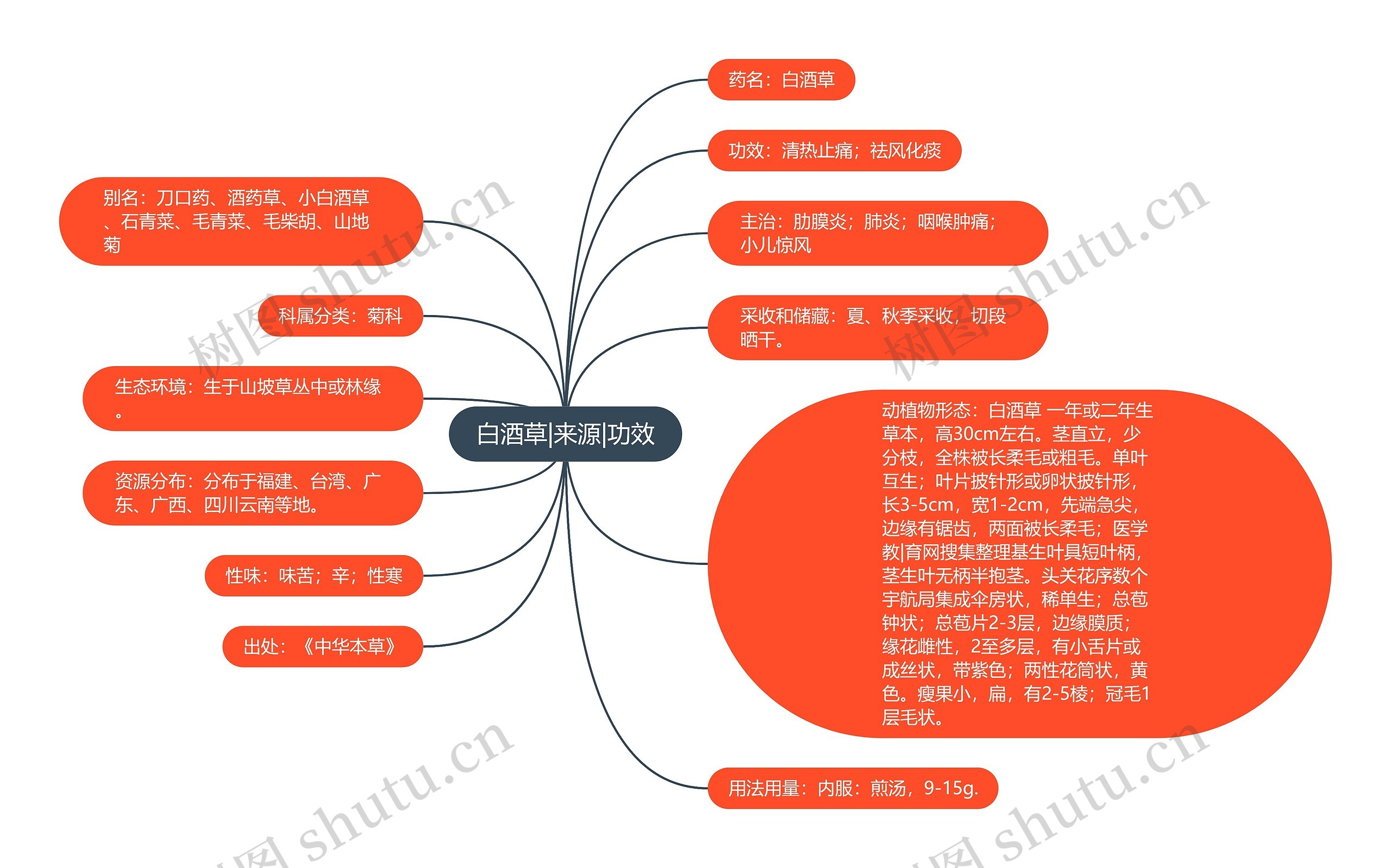 白酒草|来源|功效思维导图