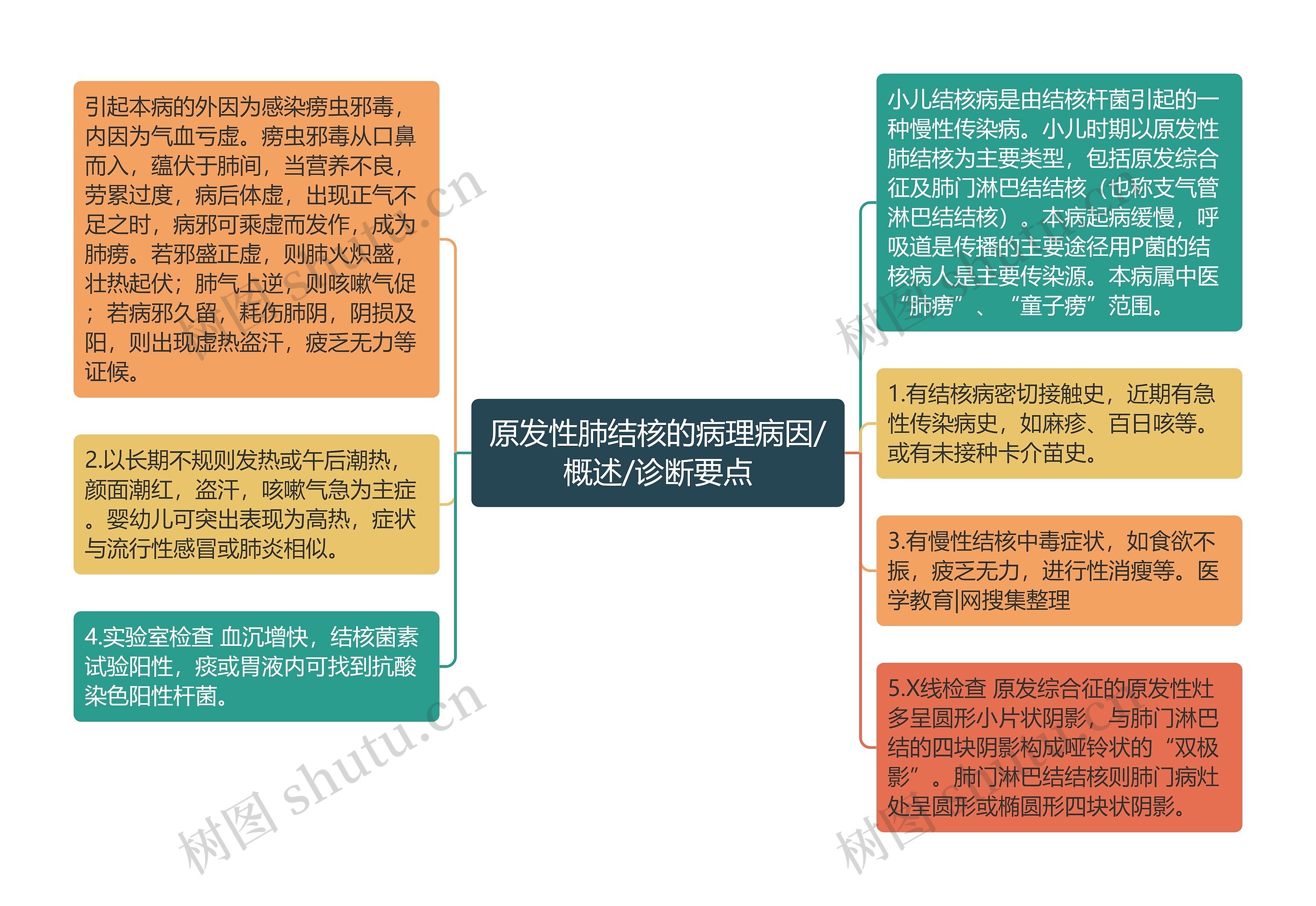 原发性肺结核的病理病因/概述/诊断要点思维导图