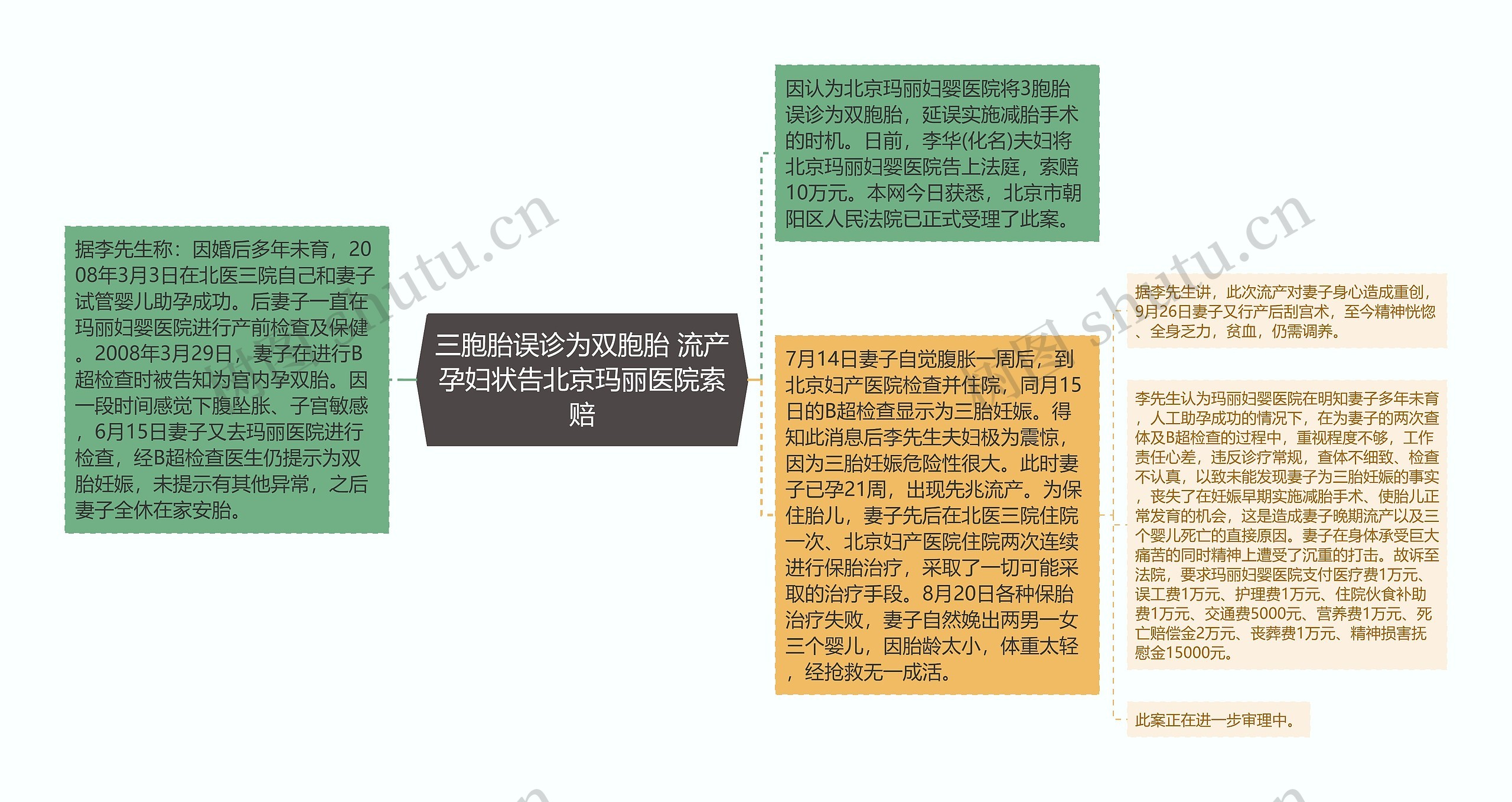 三胞胎误诊为双胞胎 流产孕妇状告北京玛丽医院索赔思维导图