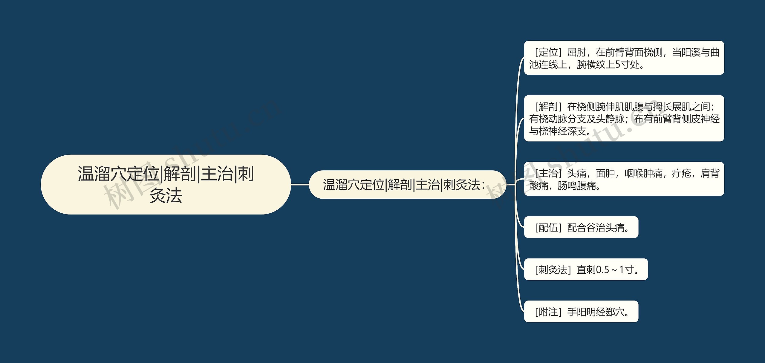 温溜穴定位|解剖|主治|刺灸法