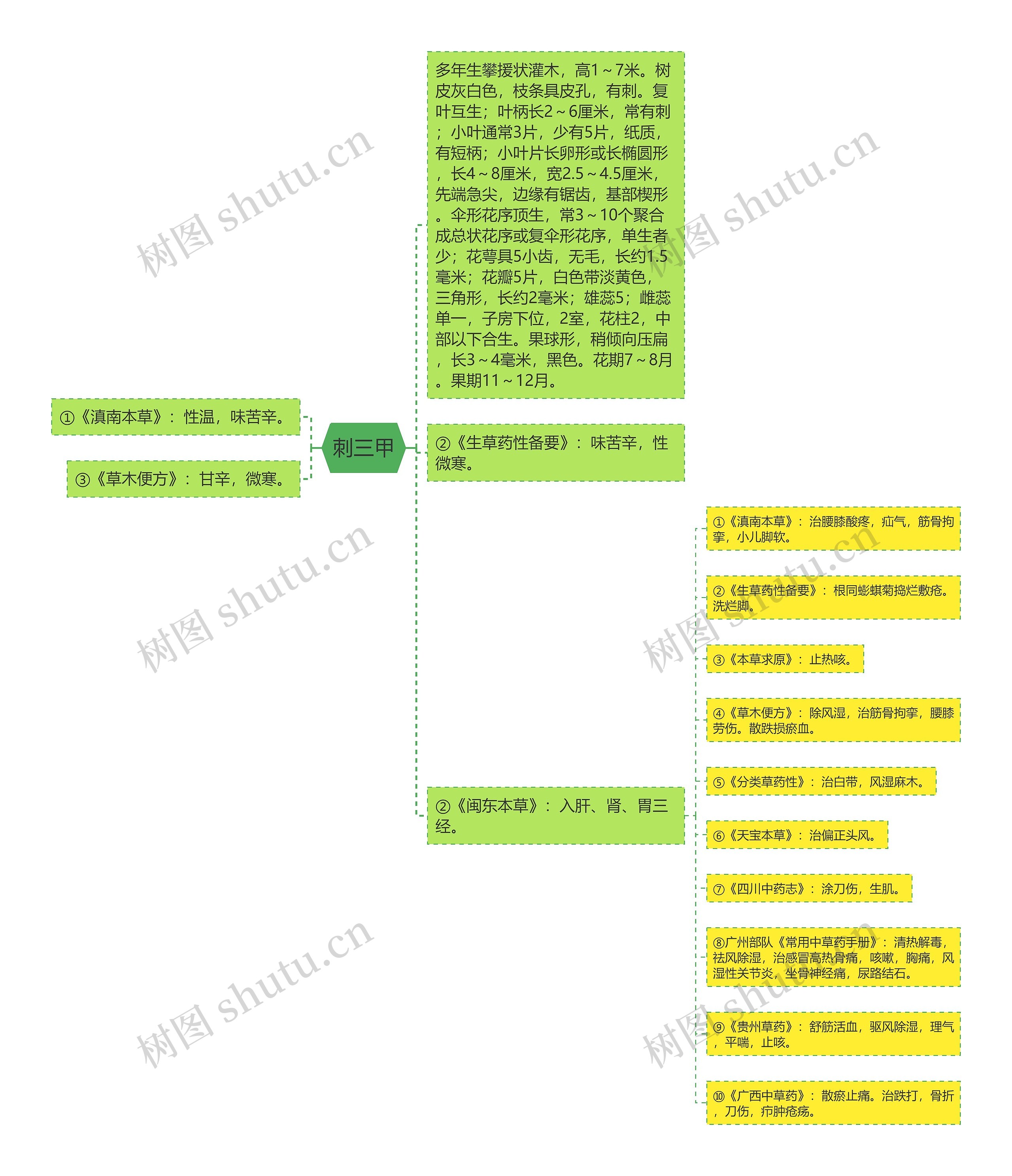 刺三甲思维导图