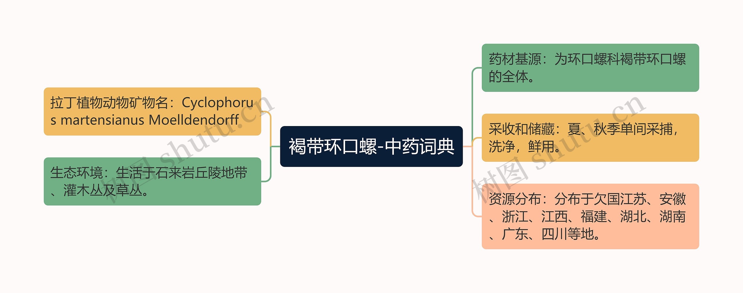 褐带环口螺-中药词典思维导图