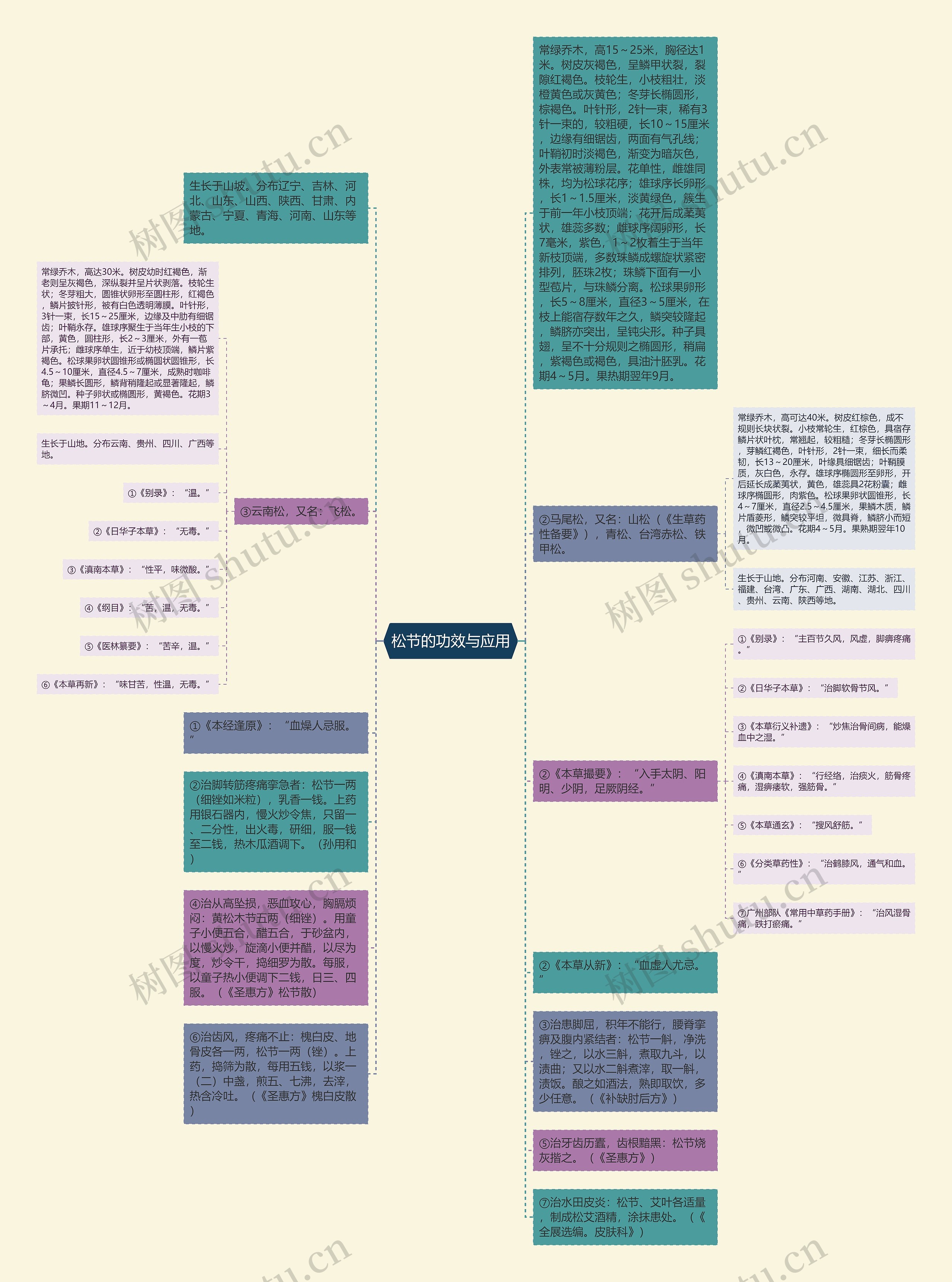 松节的功效与应用思维导图