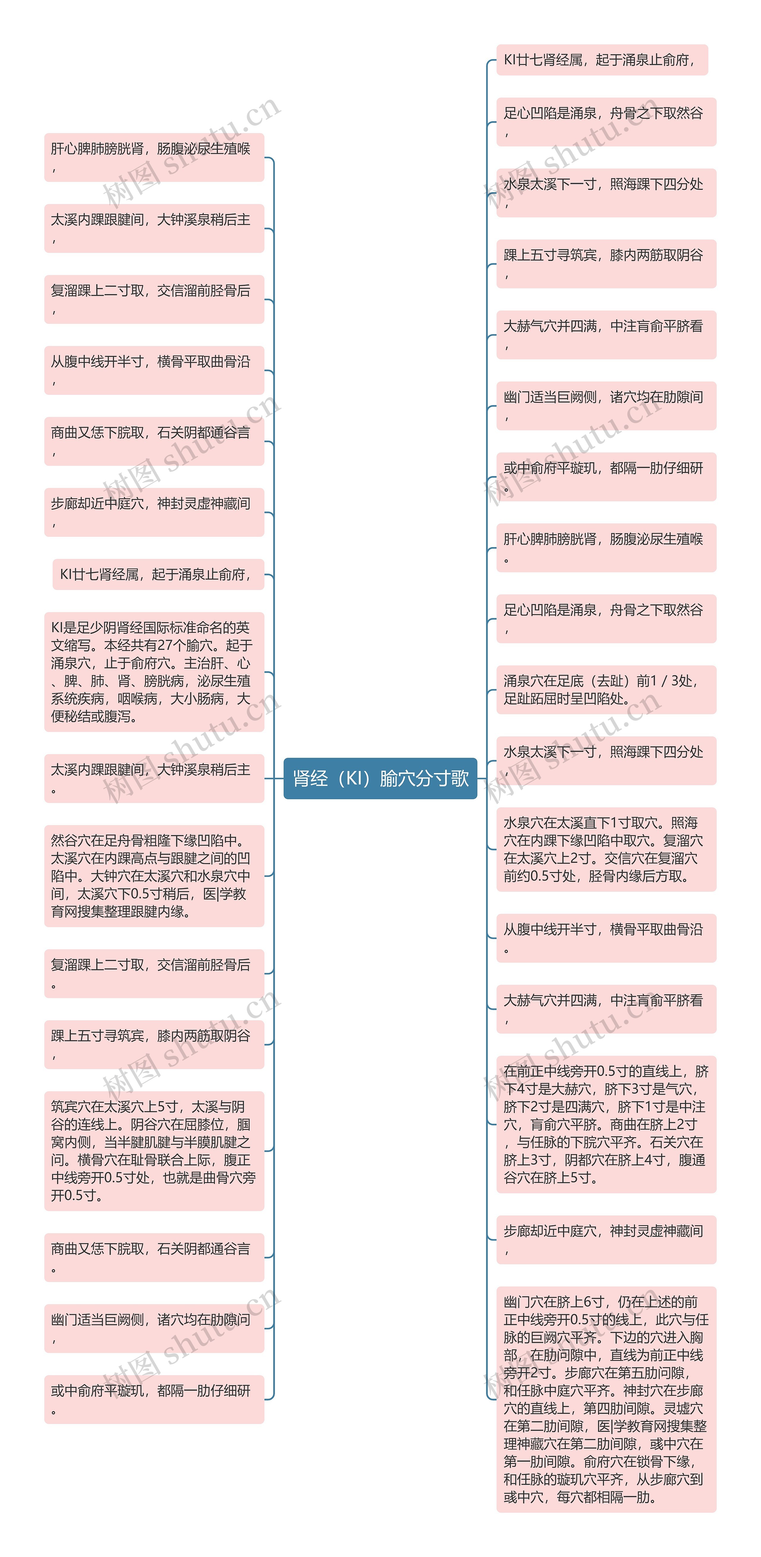 肾经（KI）腧穴分寸歌思维导图