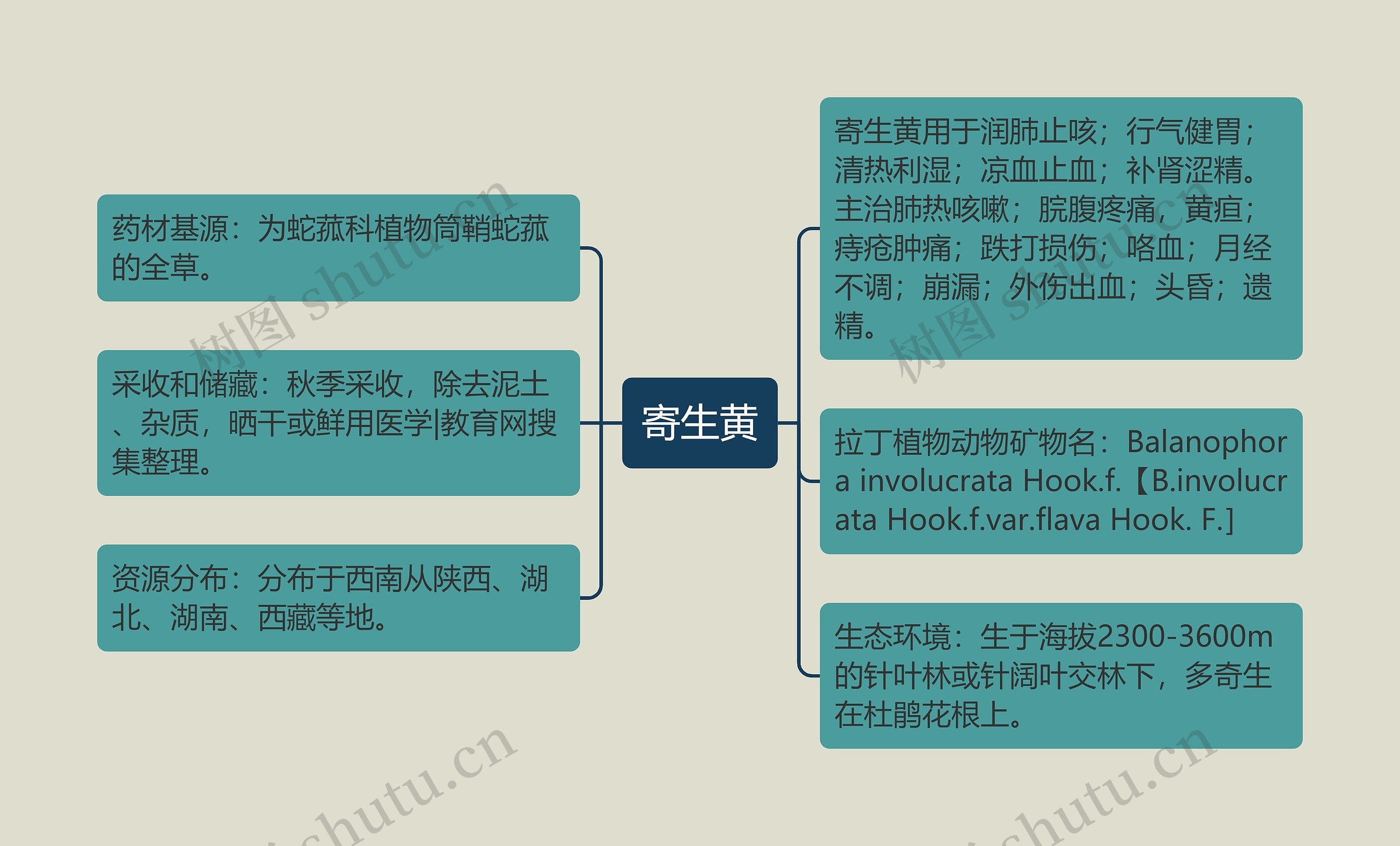 寄生黄思维导图