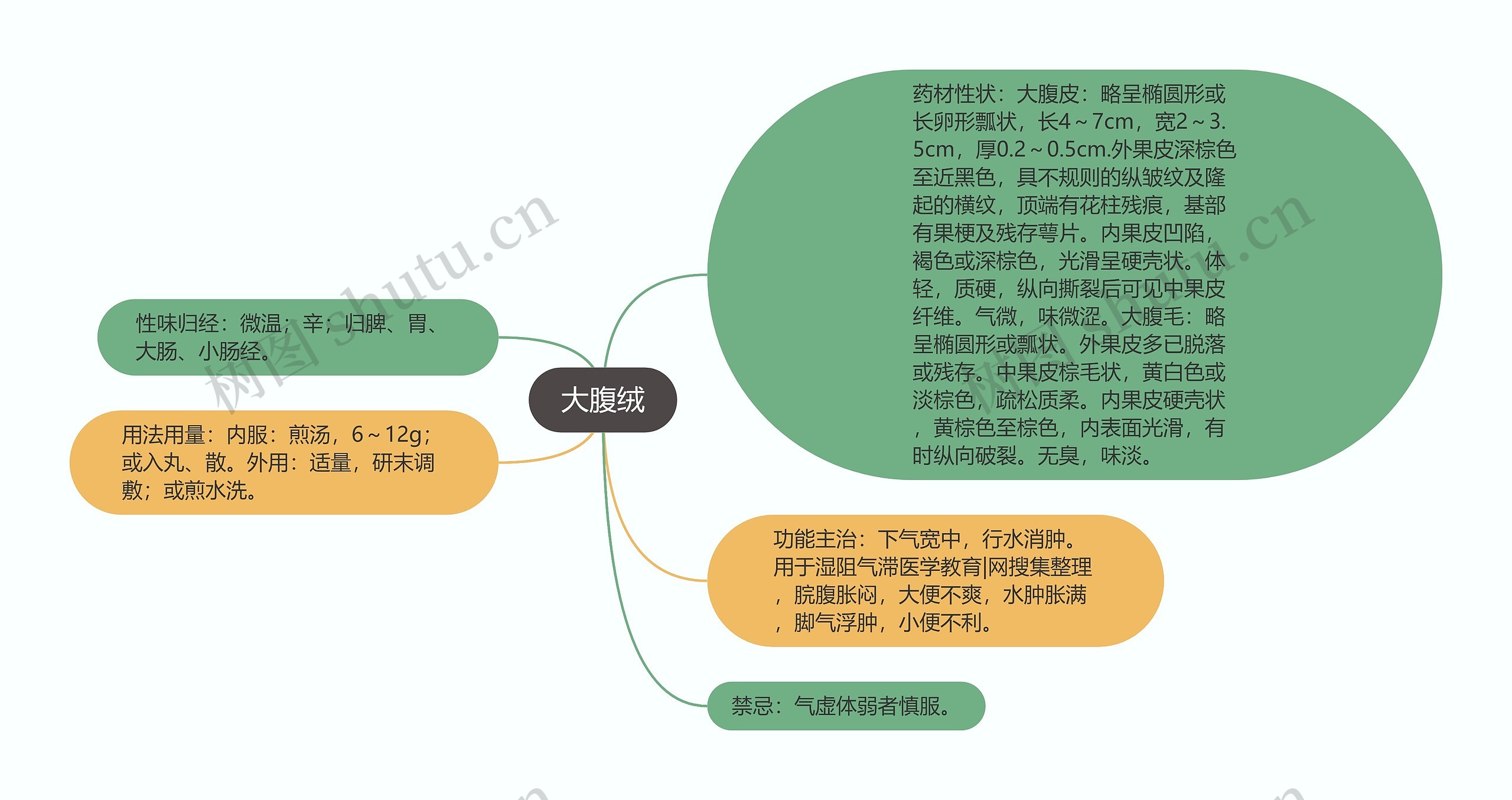 大腹绒思维导图