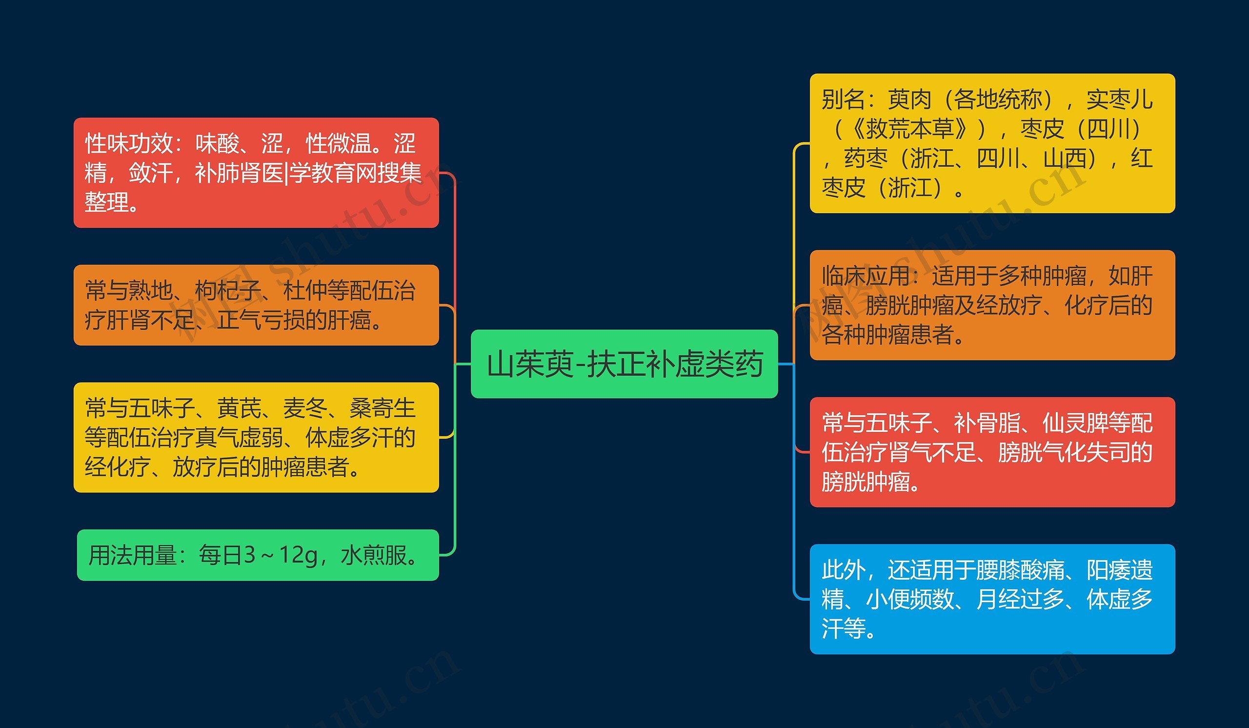 山茱萸-扶正补虚类药