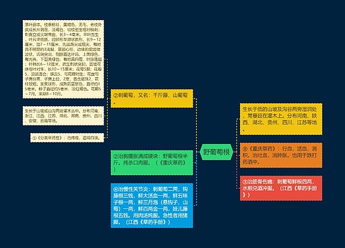 野葡萄根思维导图