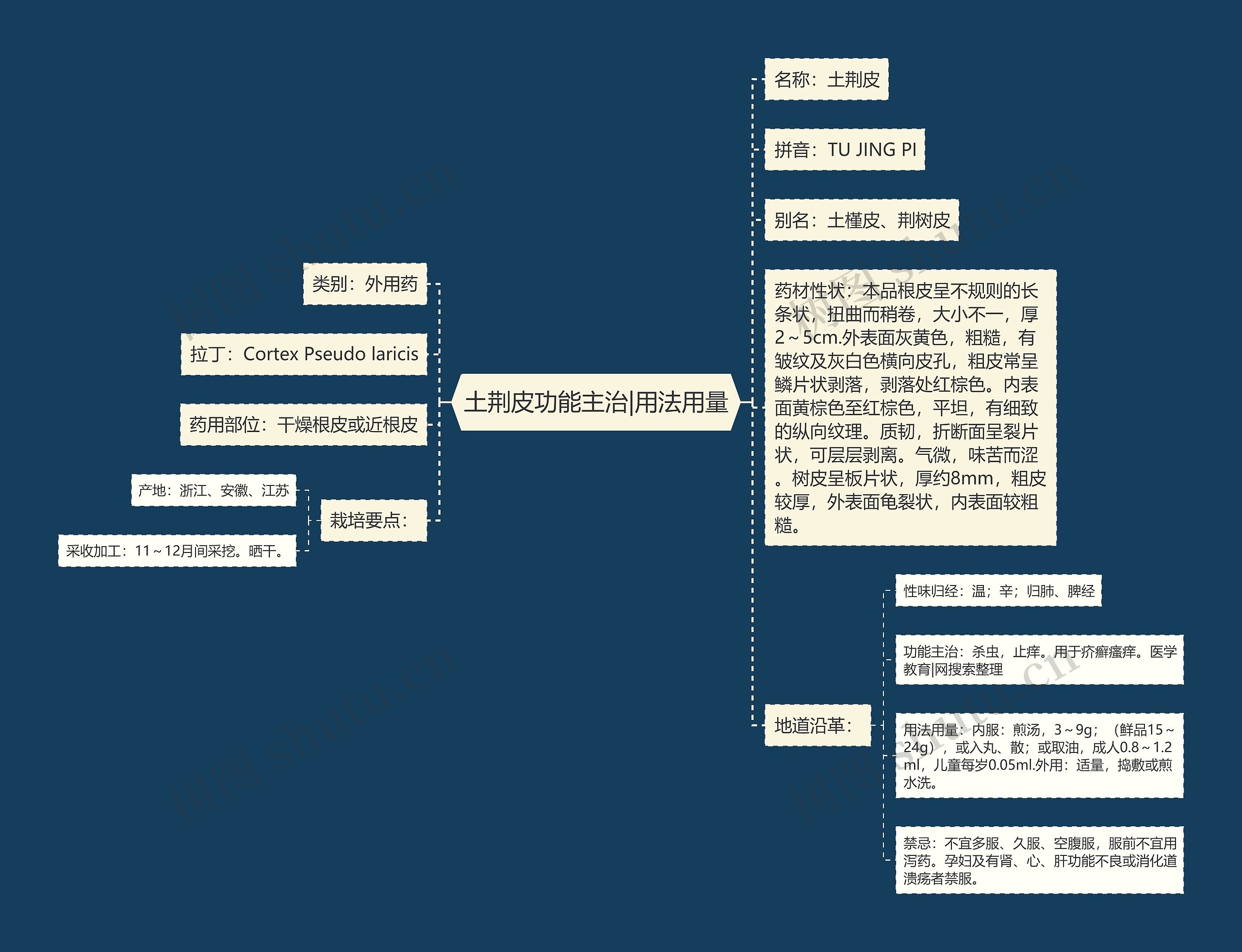 土荆皮功能主治|用法用量思维导图