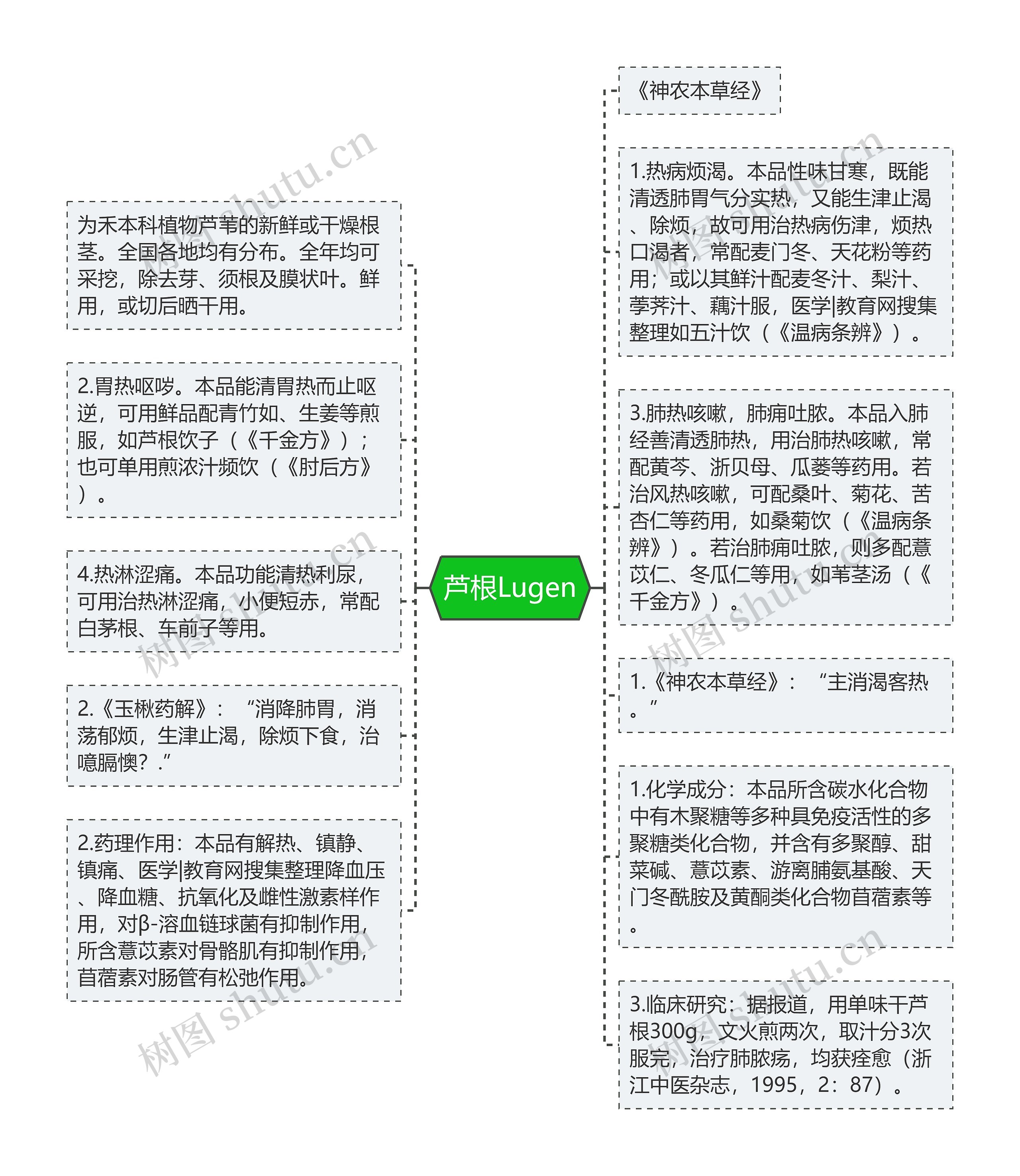 芦根Lugen思维导图