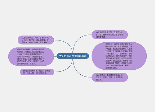 太阳伤寒证-中医诊断基础