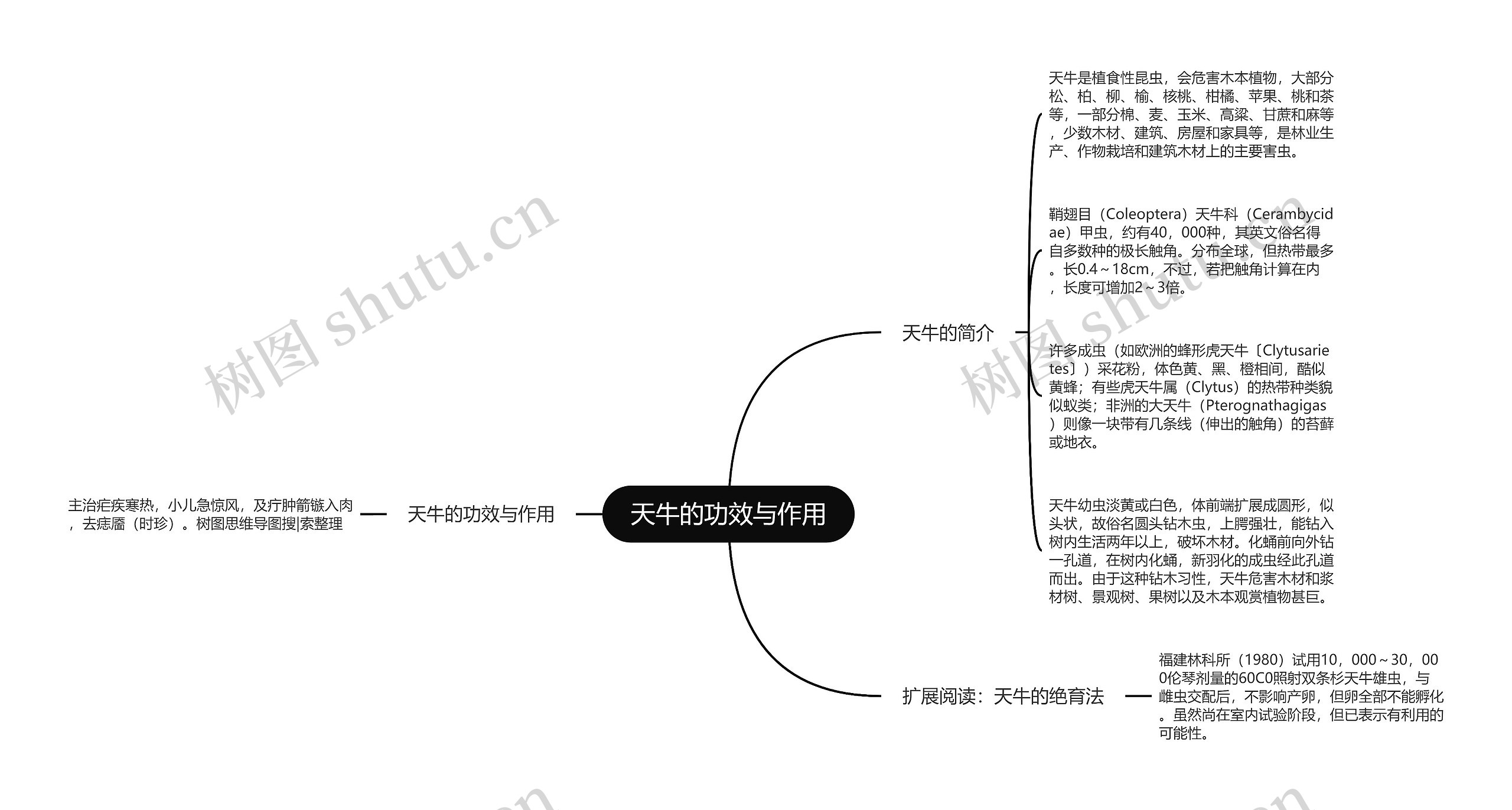 天牛的功效与作用