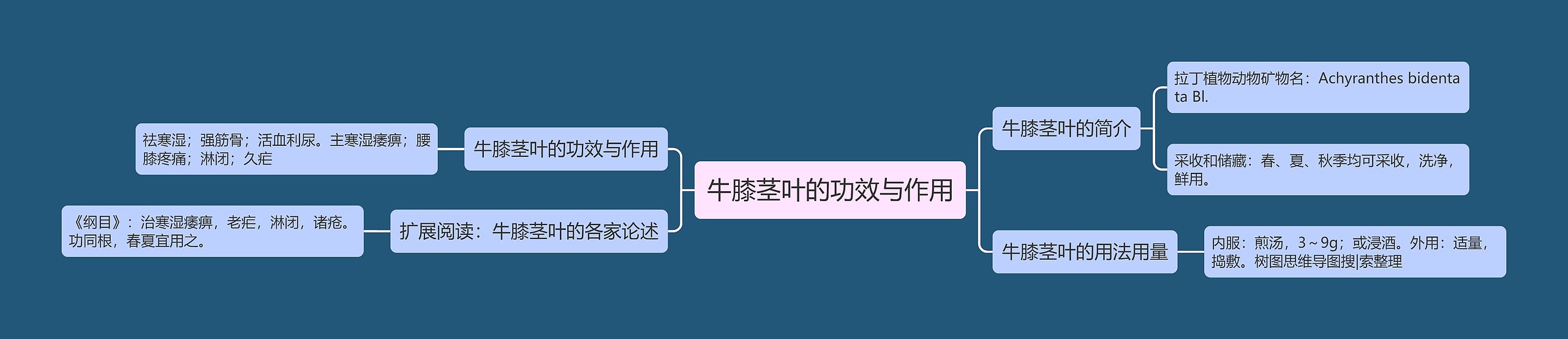 牛膝茎叶的功效与作用 牛膝茎叶的功效与作用