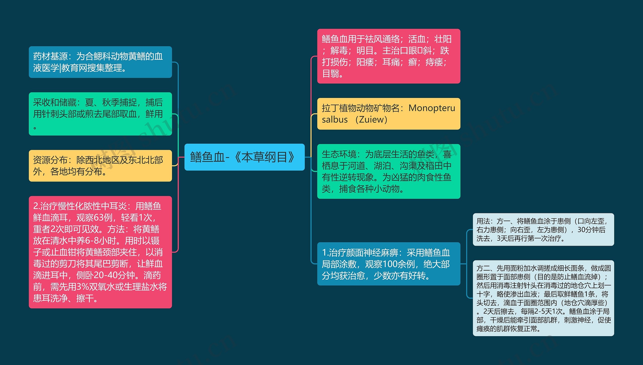 鳝鱼血-《本草纲目》思维导图