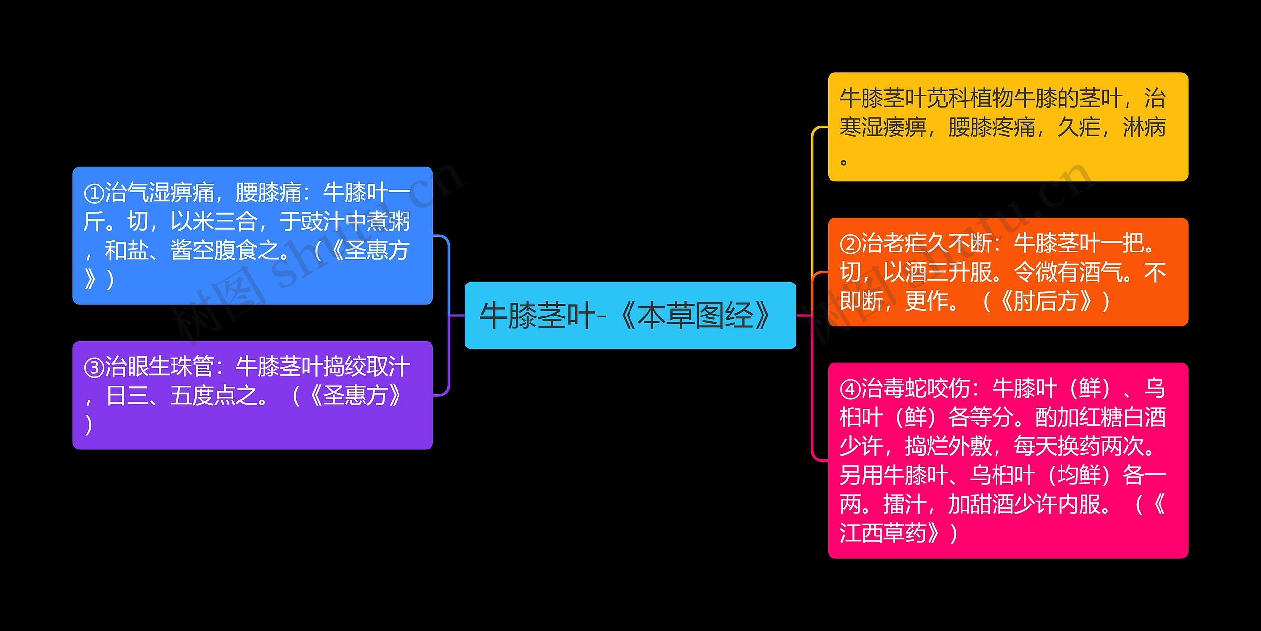 牛膝茎叶-《本草图经》思维导图