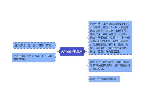 天师栗-中草药