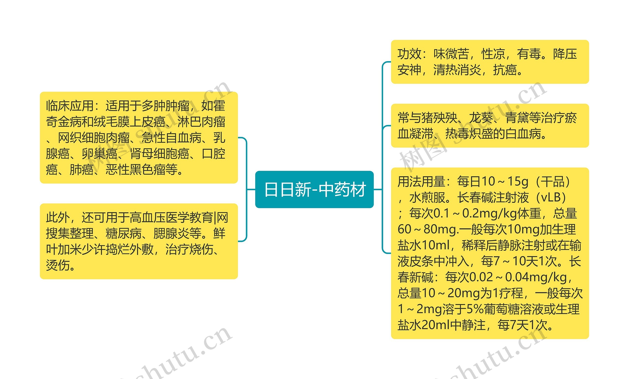 日日新-中药材思维导图