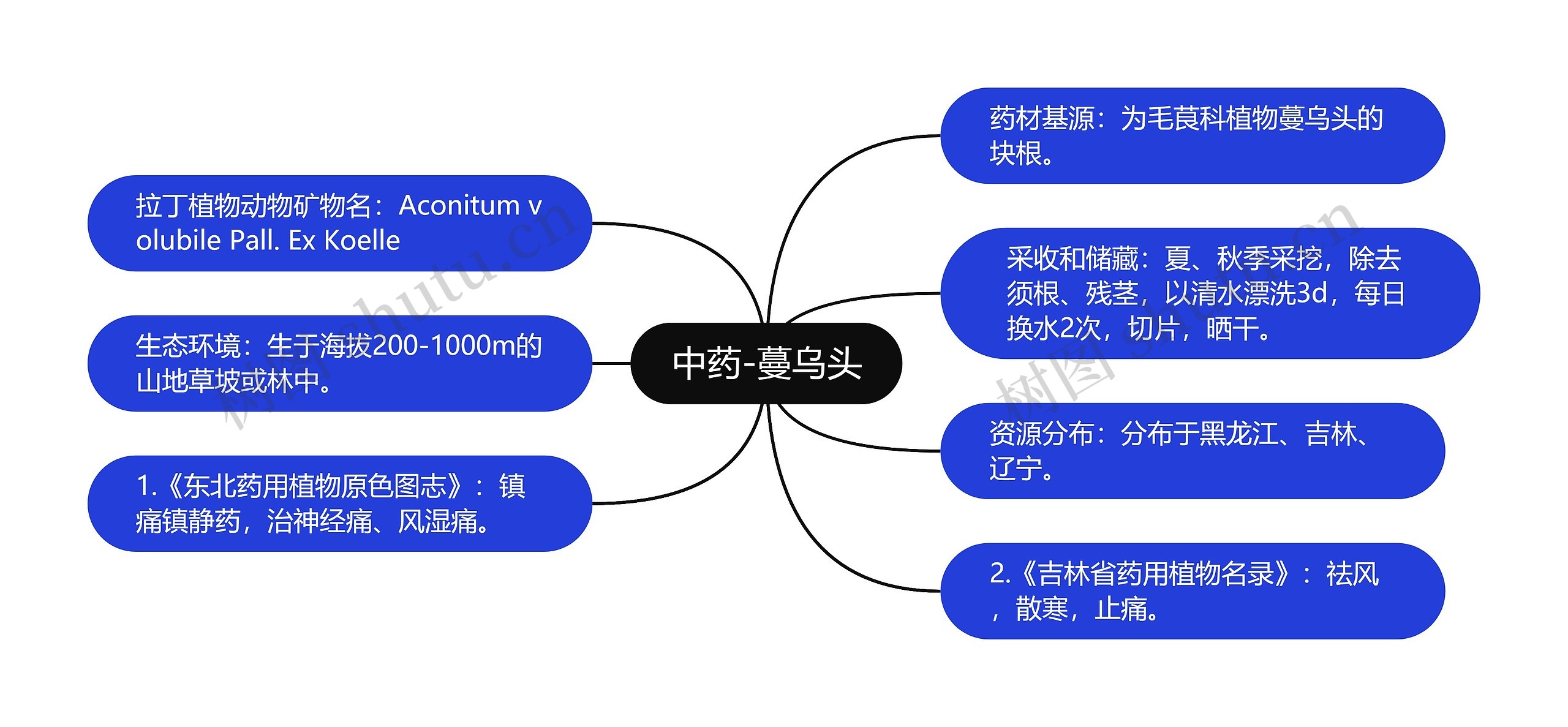 中药-蔓乌头思维导图