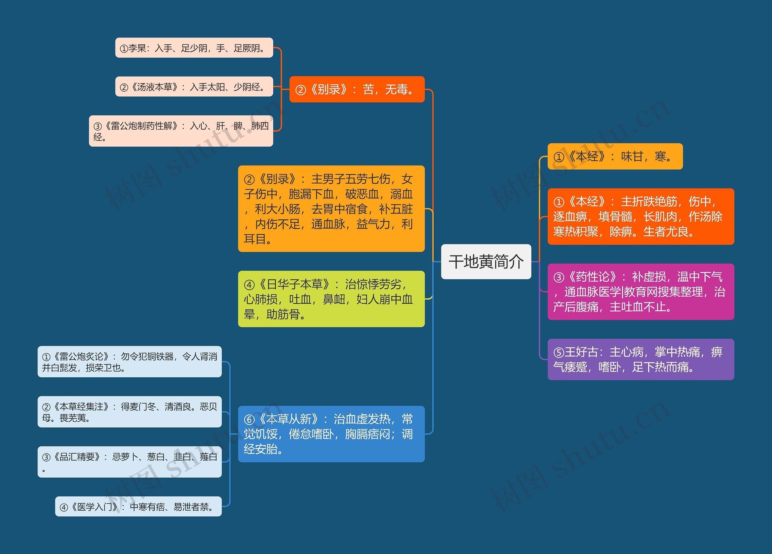 干地黄简介思维导图