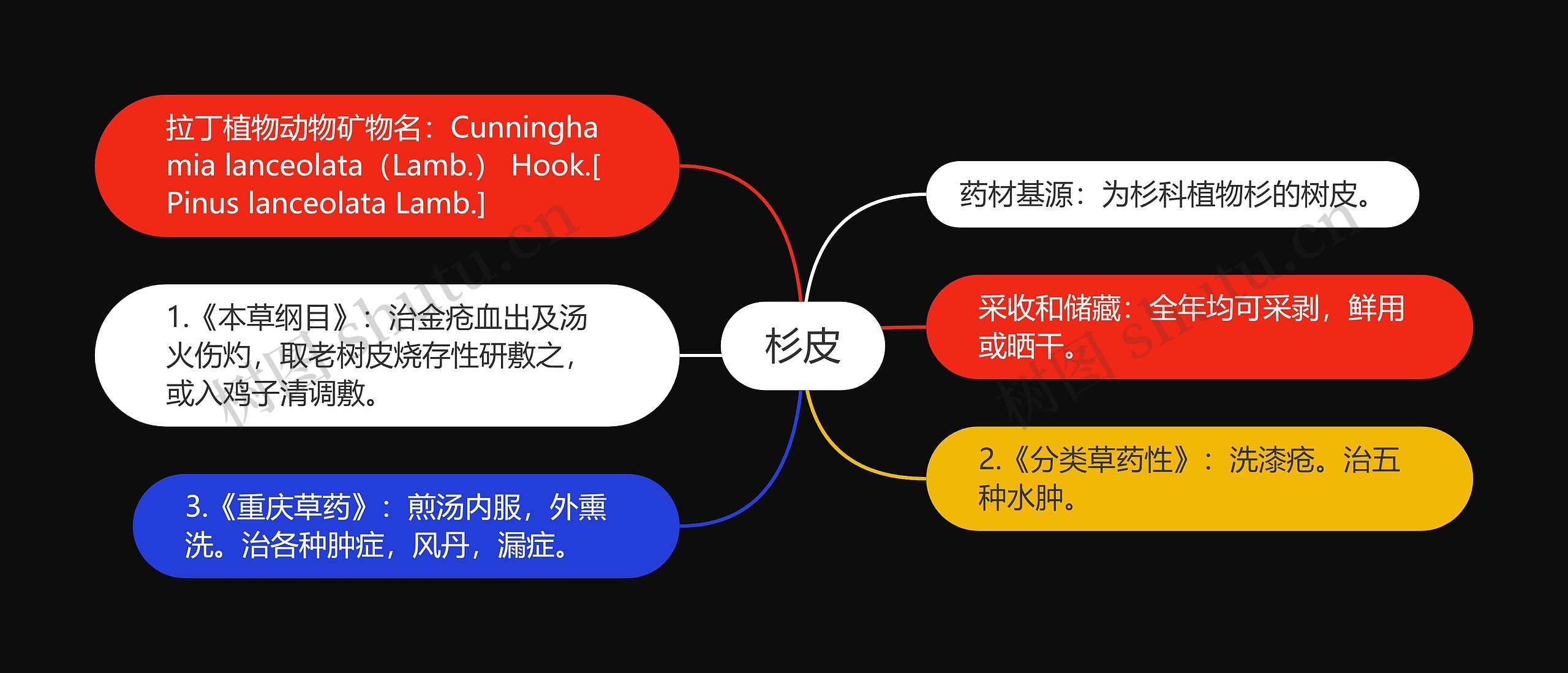 杉皮思维导图