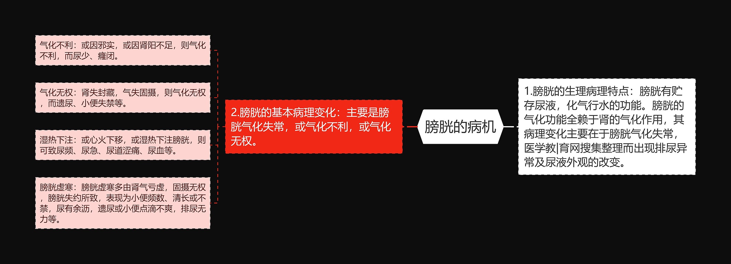 膀胱的病机 膀胱的病机