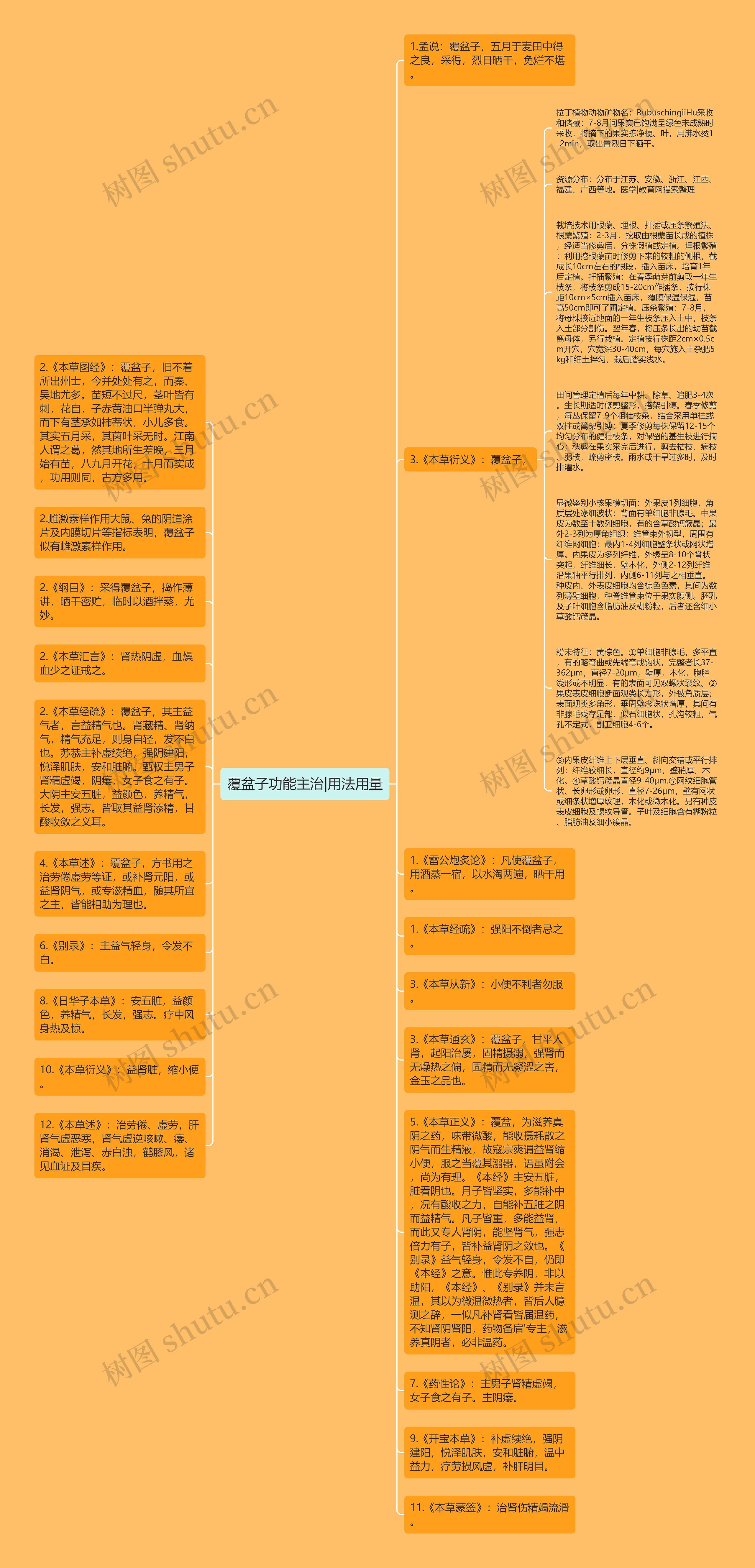 覆盆子功能主治|用法用量思维导图