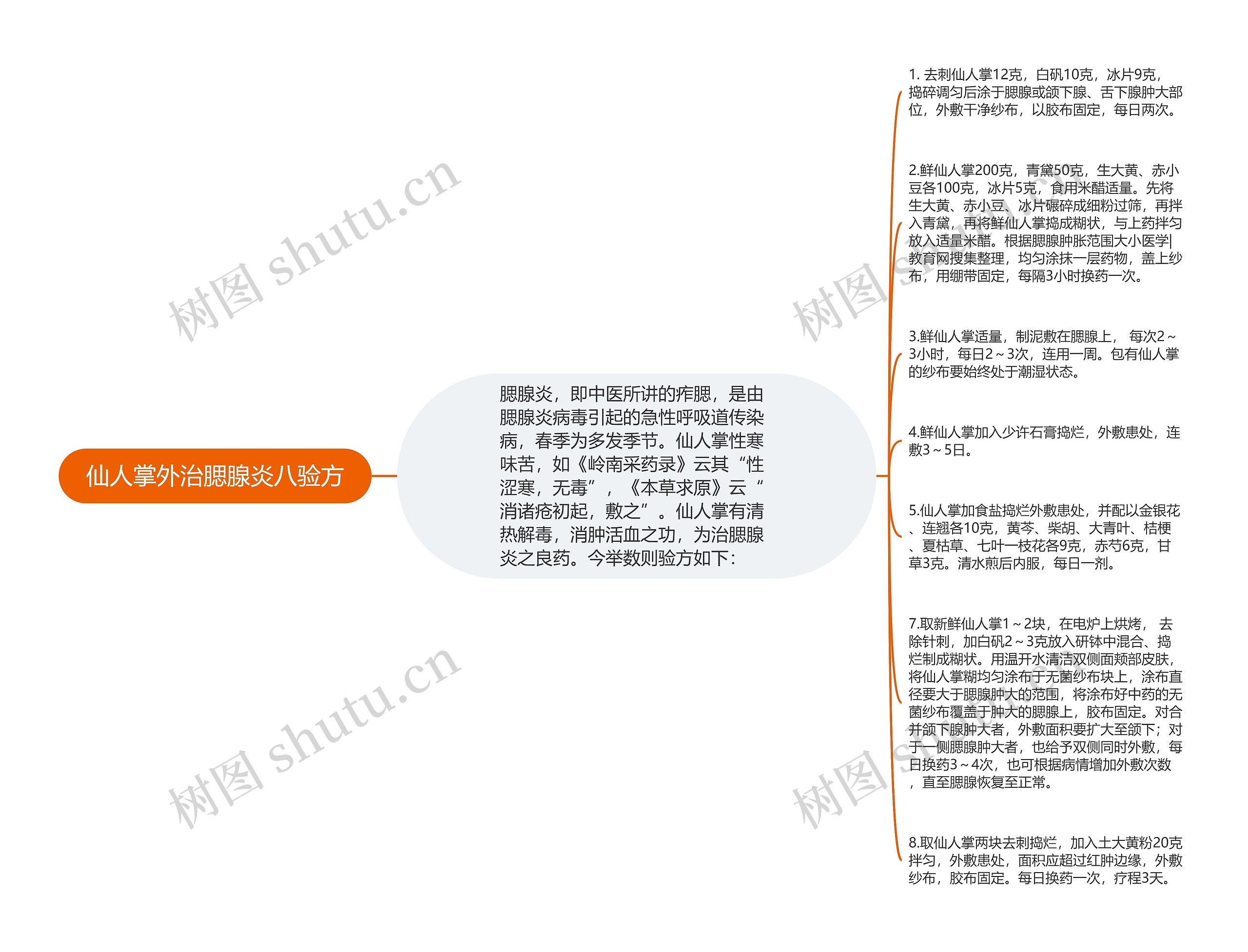 仙人掌外治腮腺炎八验方思维导图