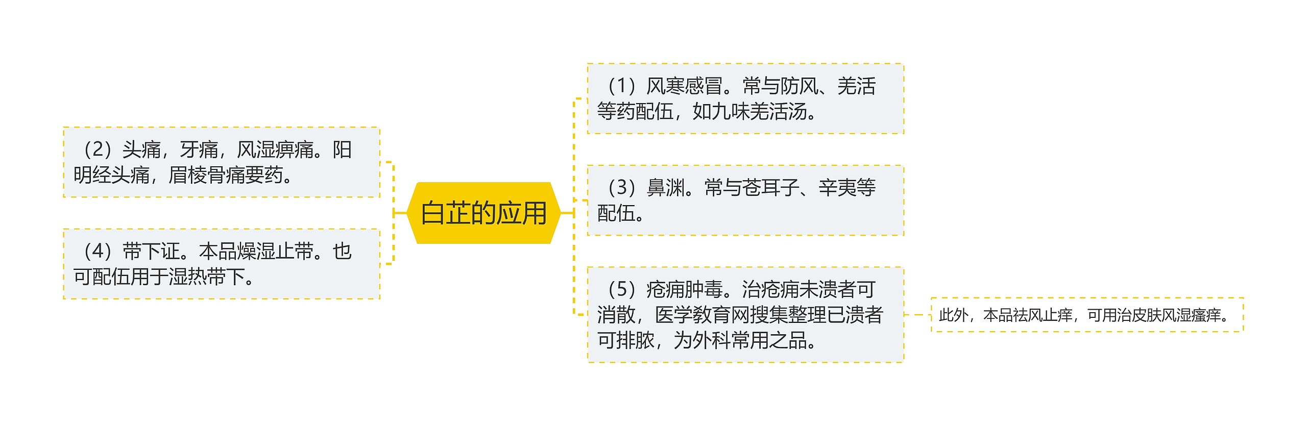 白芷的应用思维导图