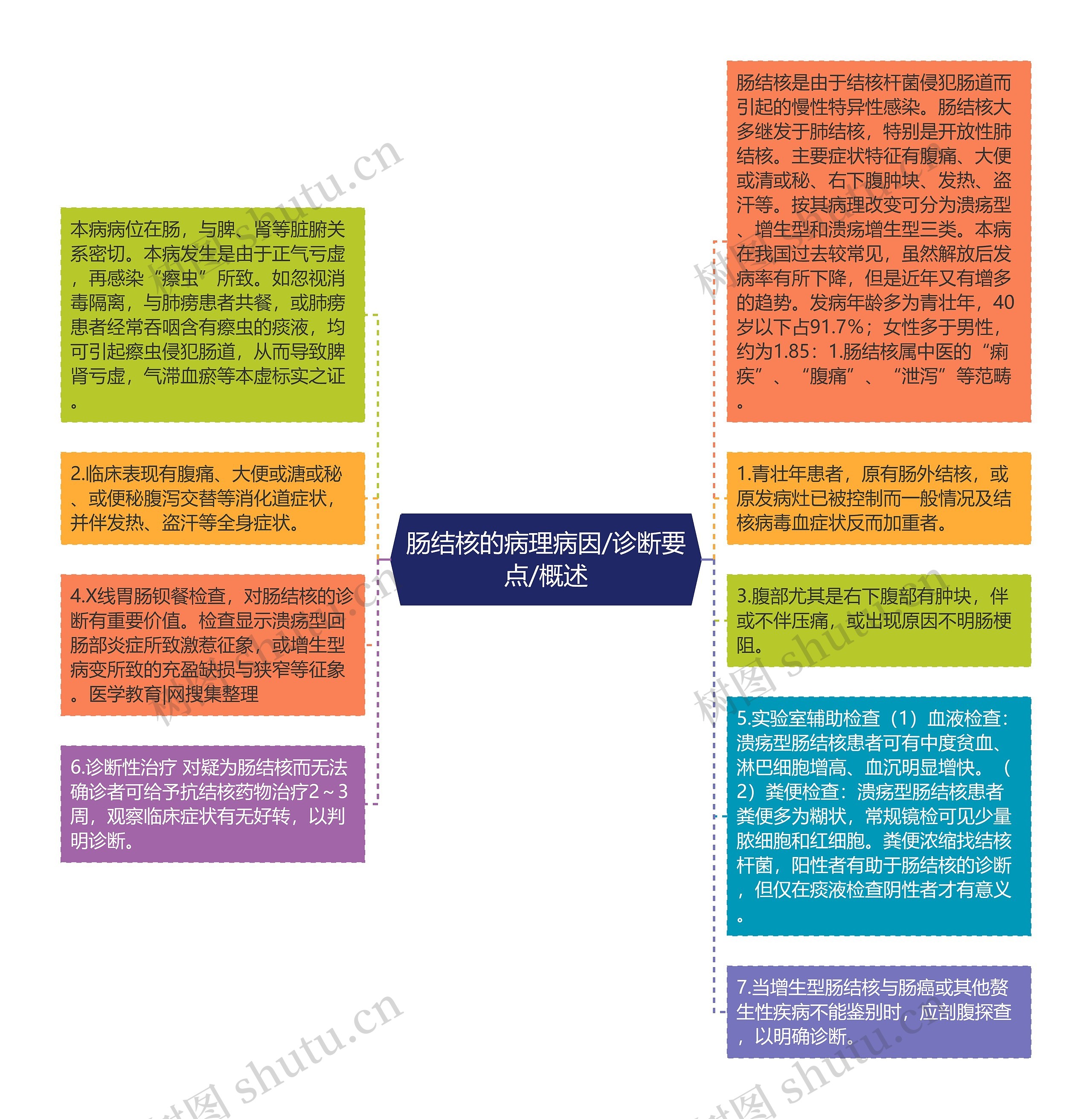 肠结核的病理病因/诊断要点/概述思维导图