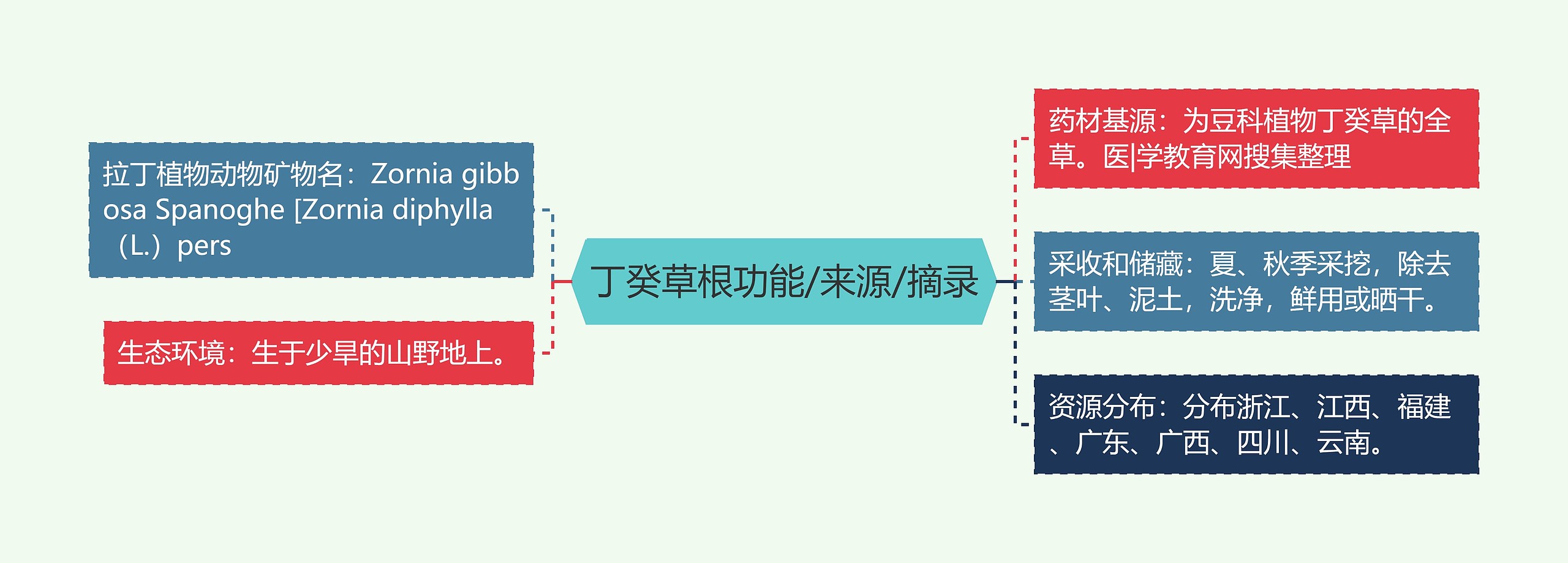 丁癸草根功能/来源/摘录思维导图