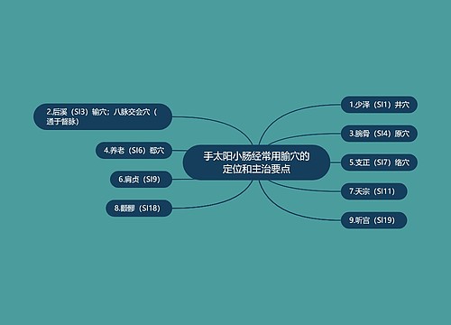 手太阳小肠经常用腧穴的定位和主治要点