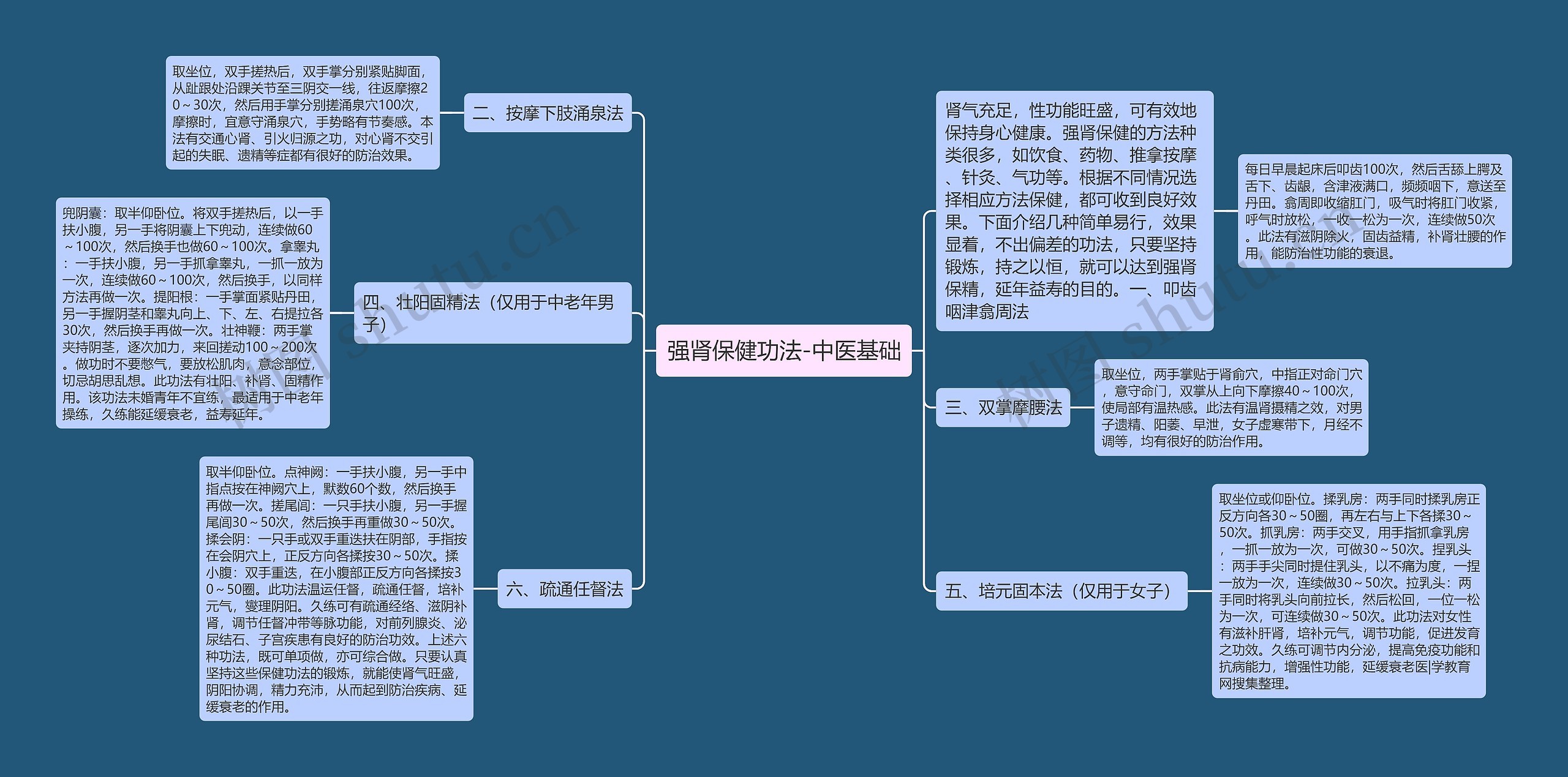 强肾保健功法-中医基础