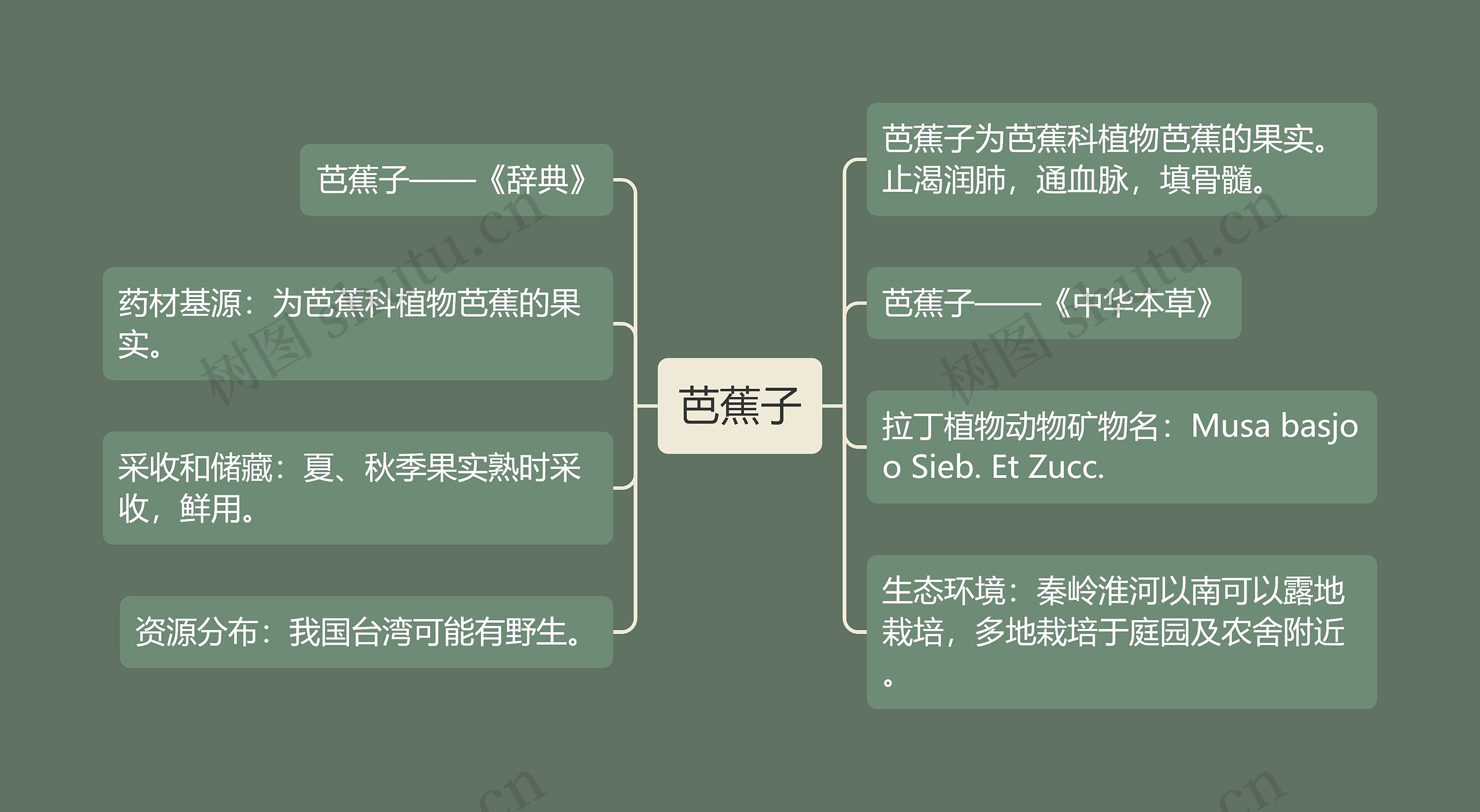 芭蕉子思维导图