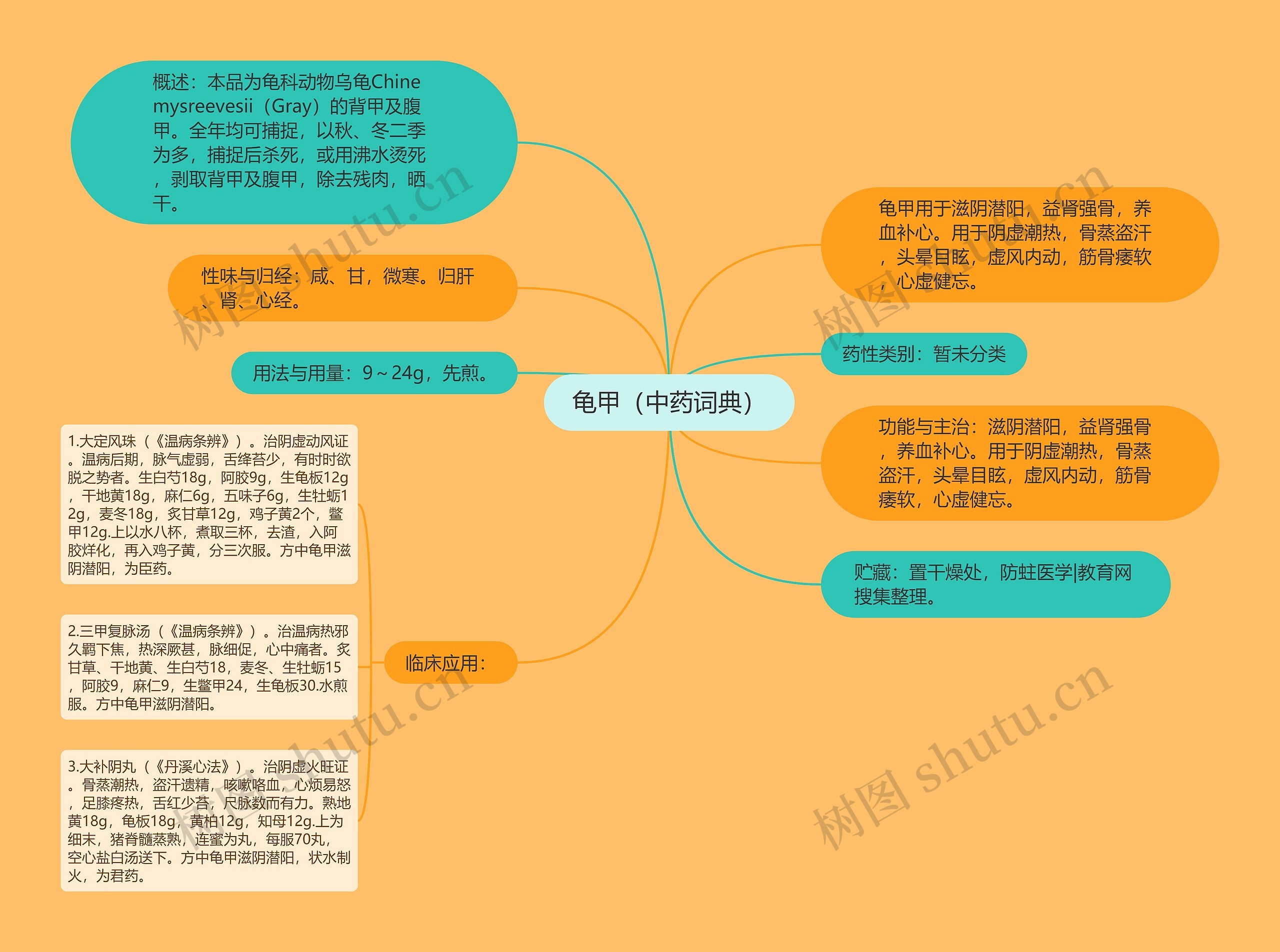 龟甲（中药词典）思维导图